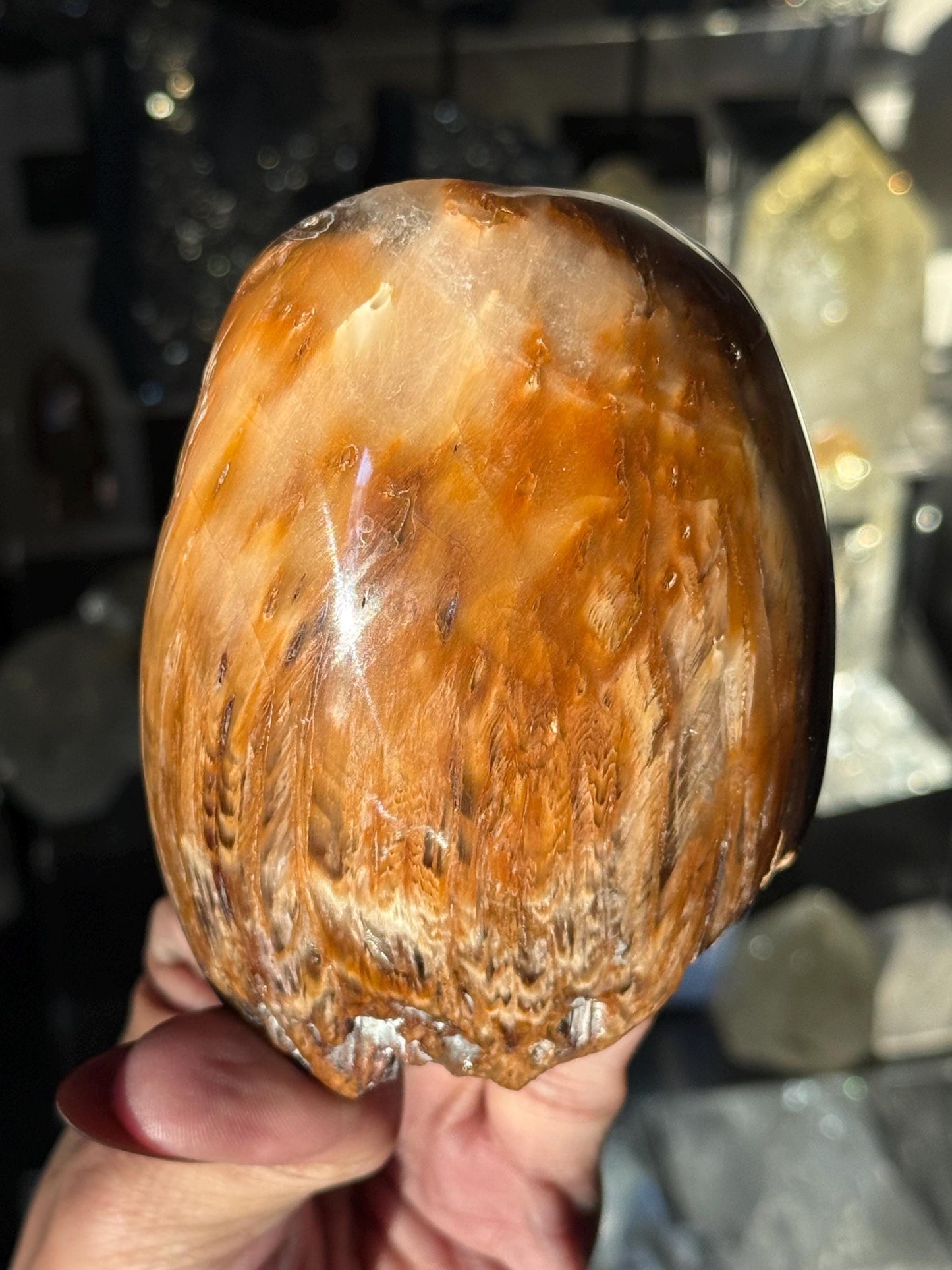 Rabbit Hair Quartz, Orange Rutilated Quartz, Amphibole Quartz, Orange Rutilated Quartz, Amphiboles, Rough Polished Amphibole, Crystal Gifts