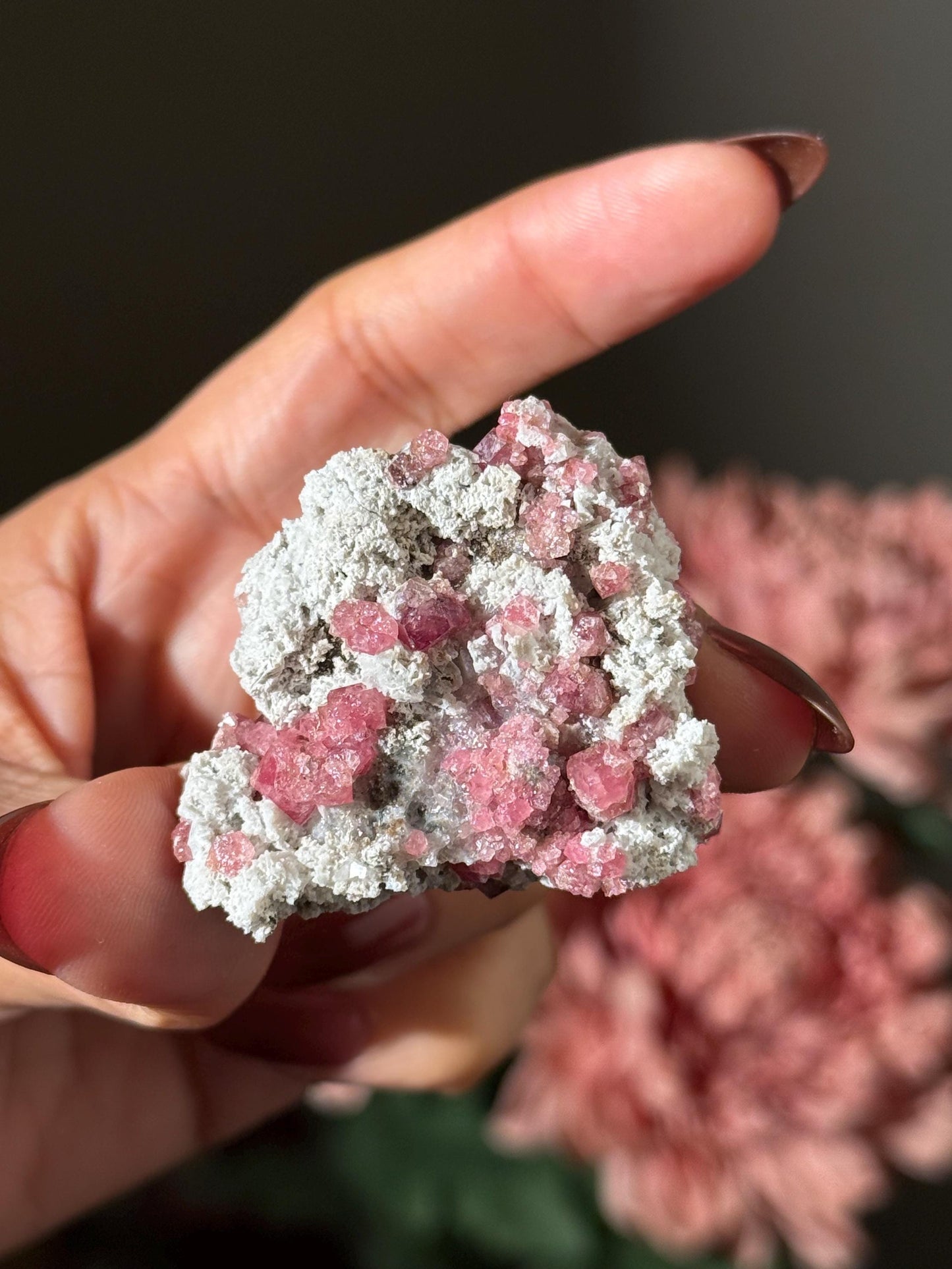 Raspberry Garnet, Grossular Garnet, Raspberry Garnet from Coahuila, Mexico, Raw Mineral Specimen, Garnet, Garnet Raw Stone, Crystal Gifts