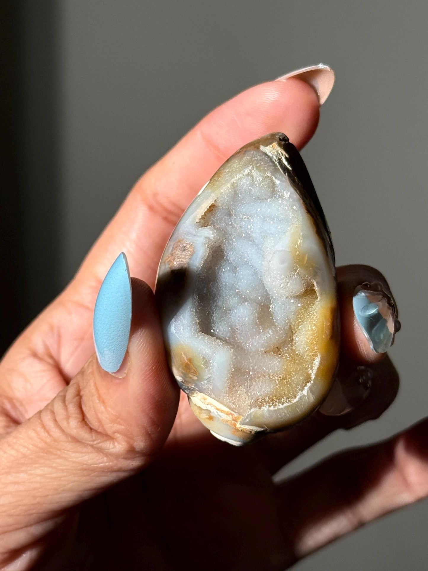 Spiralite Shell, Spiralite Quartz Shell, Fossilized Sea Shell, Agatized Shell, Druzy Quartz Shell, Fossilized Quartz, Crystal Gifts, Fossils