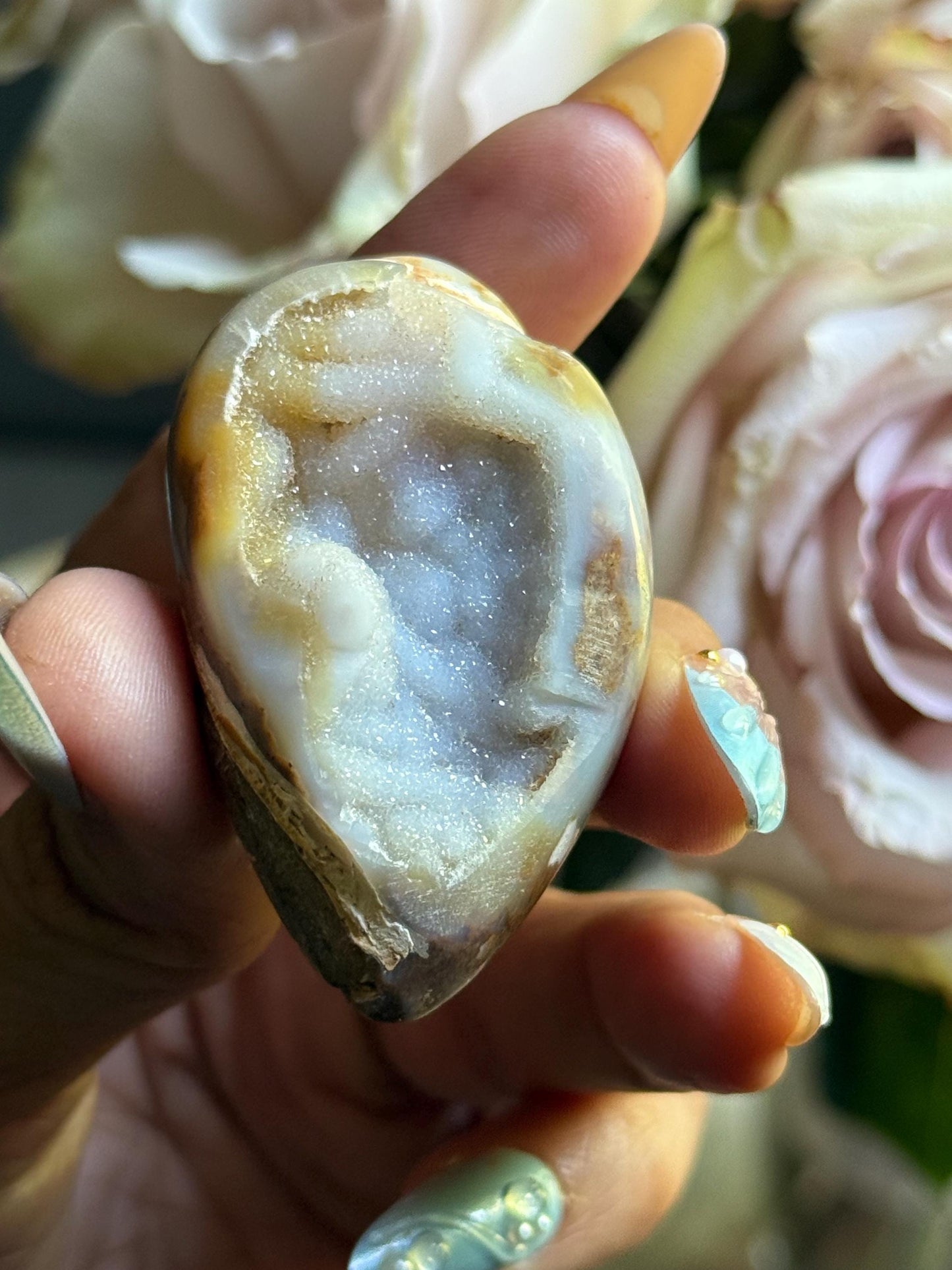 Spiralite Shell, Spiralite Quartz Shell, Fossilized Sea Shell, Agatized Shell, Druzy Quartz Shell, Fossilized Quartz, Crystal Gifts, Fossils
