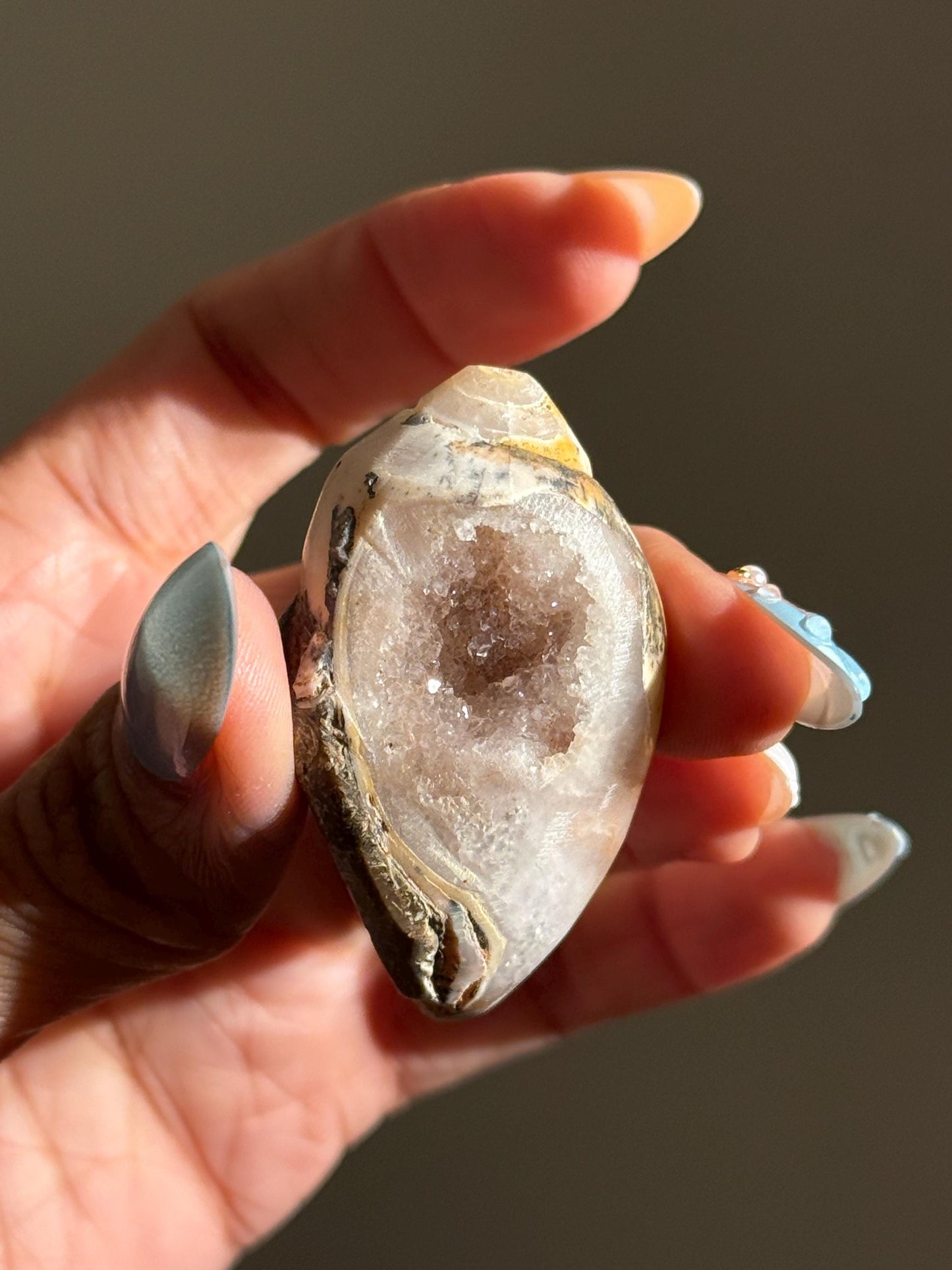 Spiralite Shell, Spiralite Quartz Shell, Fossilized Sea Shell, Agatized Shell, Druzy Quartz Shell, Fossilized Quartz, Crystal Gifts, Fossils