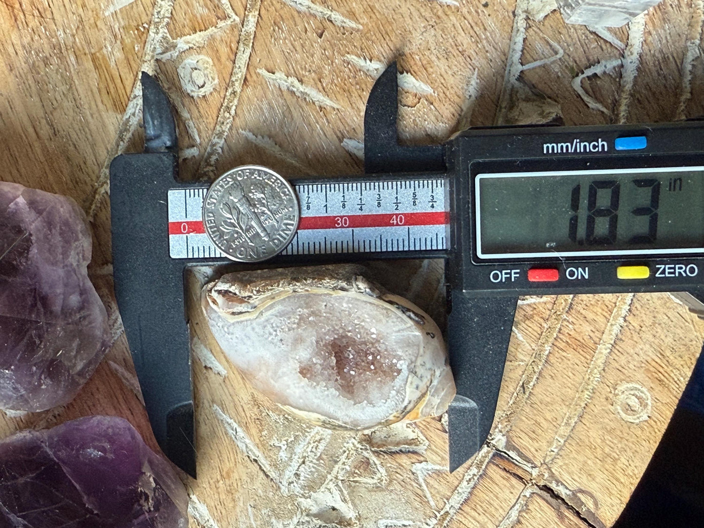Spiralite Shell, Spiralite Quartz Shell, Fossilized Sea Shell, Agatized Shell, Druzy Quartz Shell, Fossilized Quartz, Crystal Gifts, Fossils