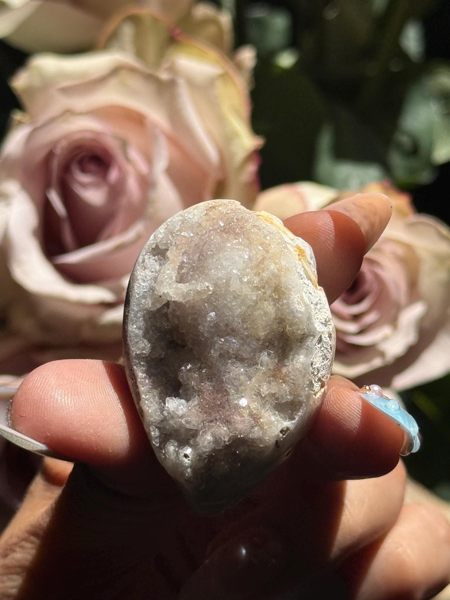 Spiralite Shell, Spiralite Quartz Shell, Fossilized Sea Shell, Agatized Shell, Druzy Quartz Shell, Fossilized Quartz, Crystal Gifts, Fossils