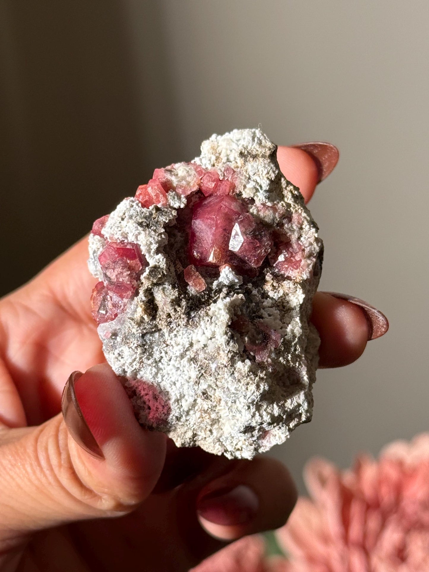 Raspberry Garnet, Grossular Garnet, Raspberry Garnet from Coahuila, Mexico, Raw Mineral Specimen, Garnet, Garnet Raw Stone, Crystal Gifts