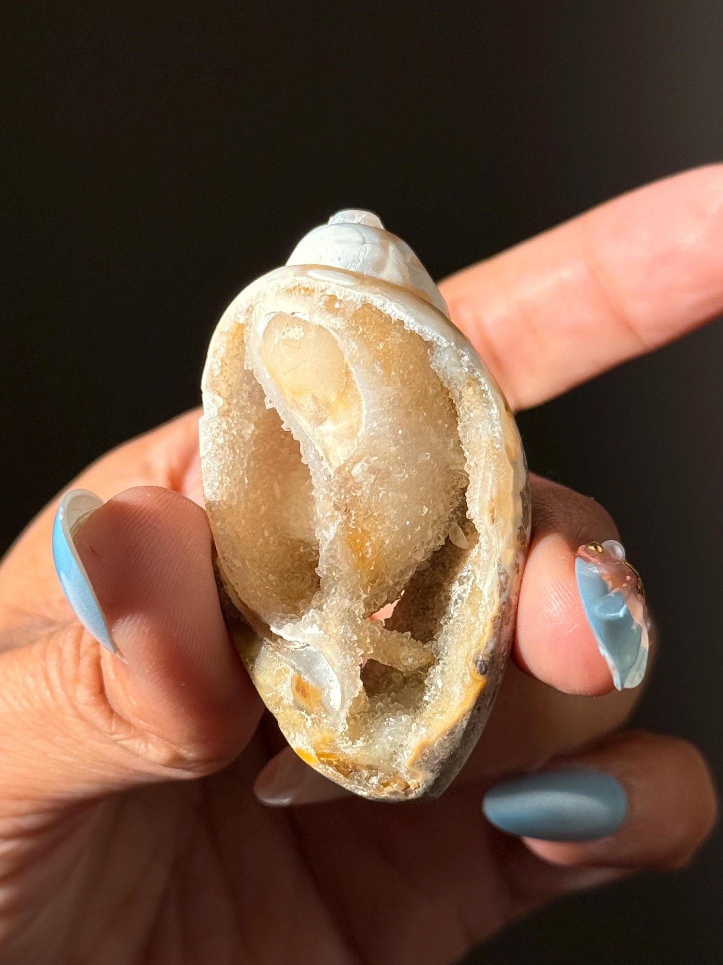 Spiralite Shell, Spiralite Quartz Shell, Fossilized Sea Shell, Agatized Shell, Druzy Quartz Shell, Fossilized Quartz, Crystal Gifts, Fossils