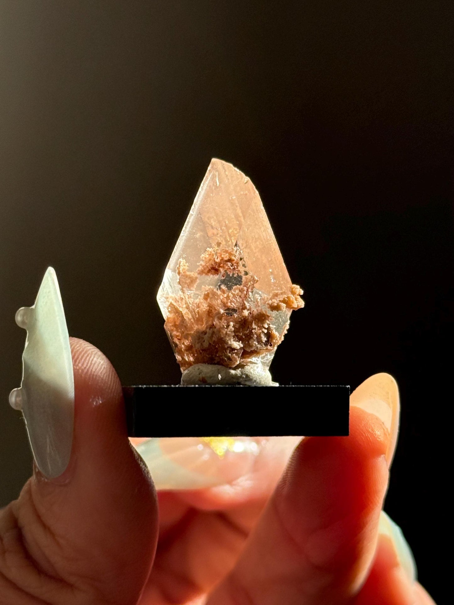 Raw Selenite From Durango Mexico, Mexican Selenite, Raw Natural Selenite, Bermejillo Durango Selenite, Raw Crystals, Fossils, Raw Minerals