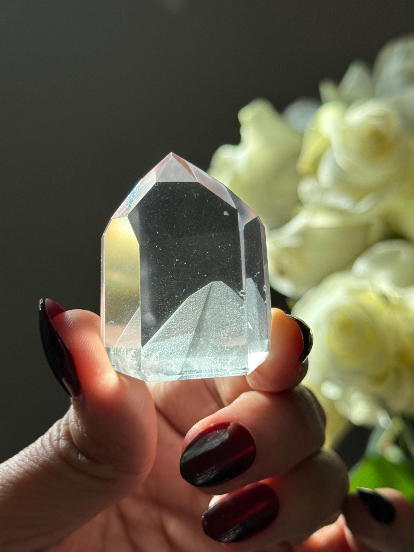 Mountain Phantom Quartz, Lemurian Quartz, Lemurian Seed Quartz, Lodolite Quartz, Garden Quartz, Crystals, Phantom Quartz, Crystal Gifts