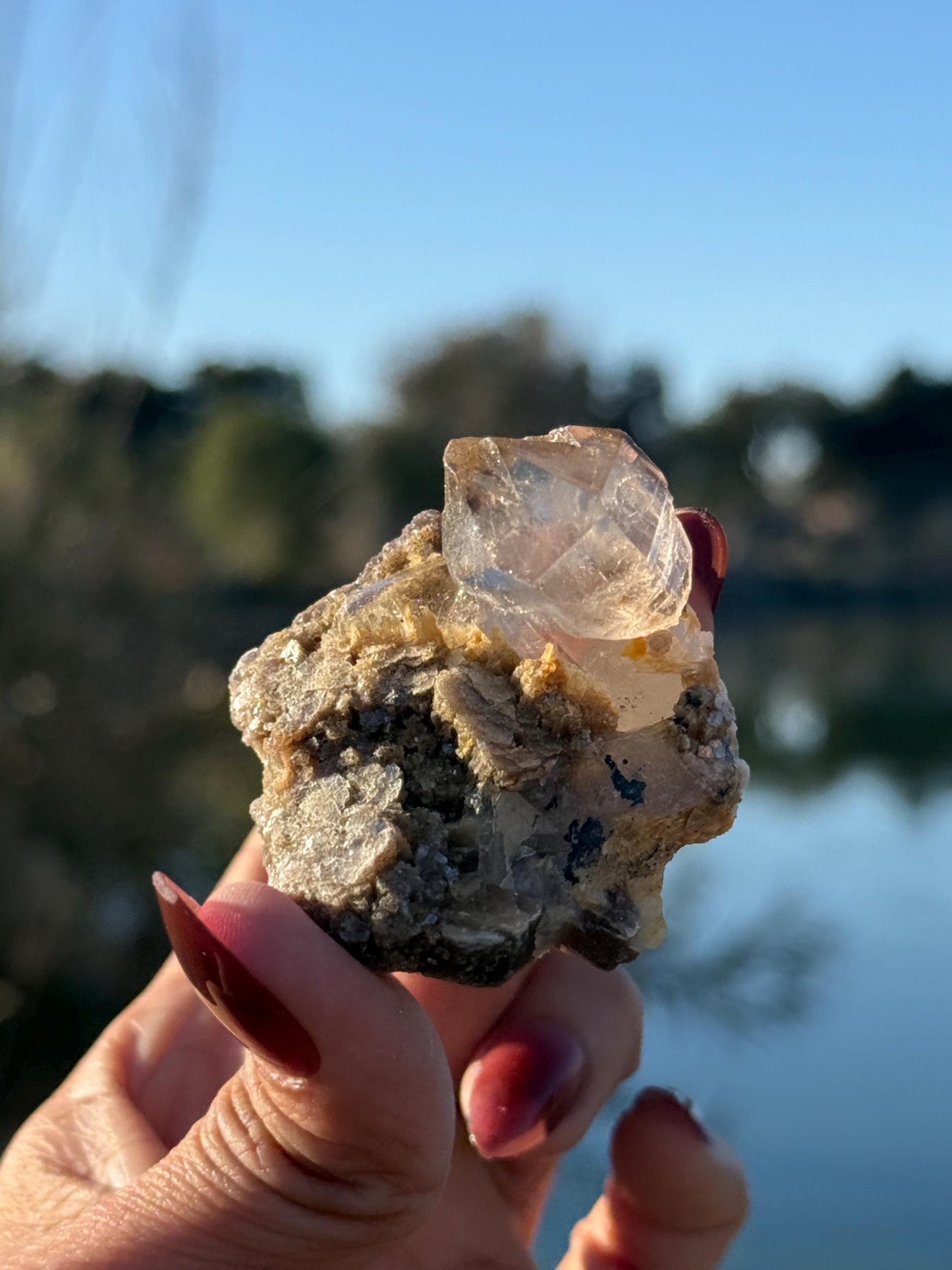 Smoky Quartz Scepter With Golden Mica, Enhydro Quartz, Smoky Quartz Enhydro, Raw Smoky Quartz Specimen, Tucson Gem Show Find
