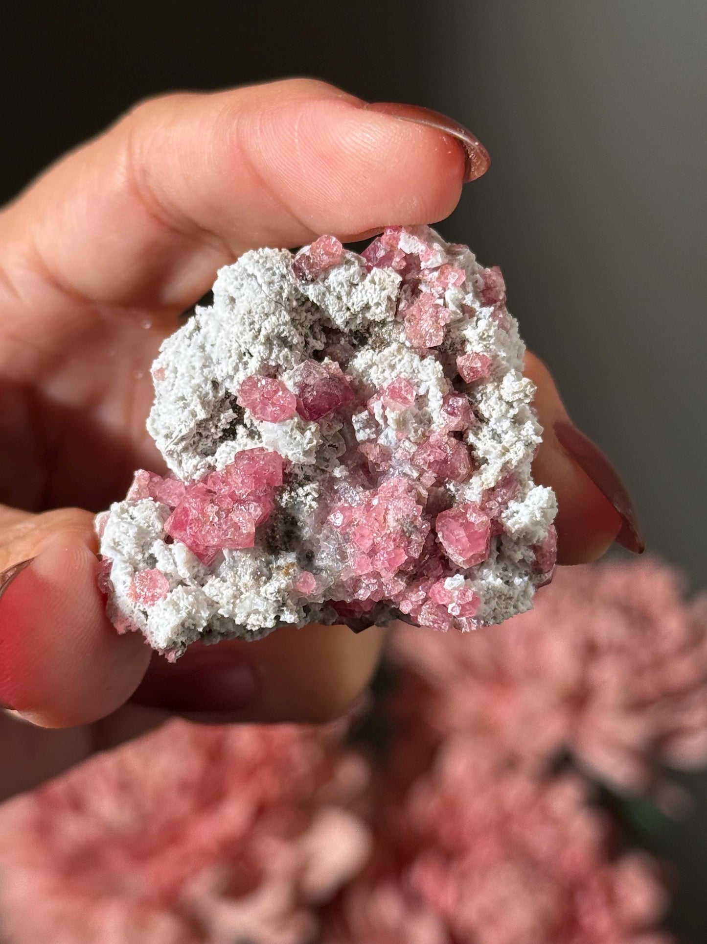 Raspberry Garnet, Grossular Garnet, Raspberry Garnet from Coahuila, Mexico, Raw Mineral Specimen, Garnet, Garnet Raw Stone, Crystal Gifts