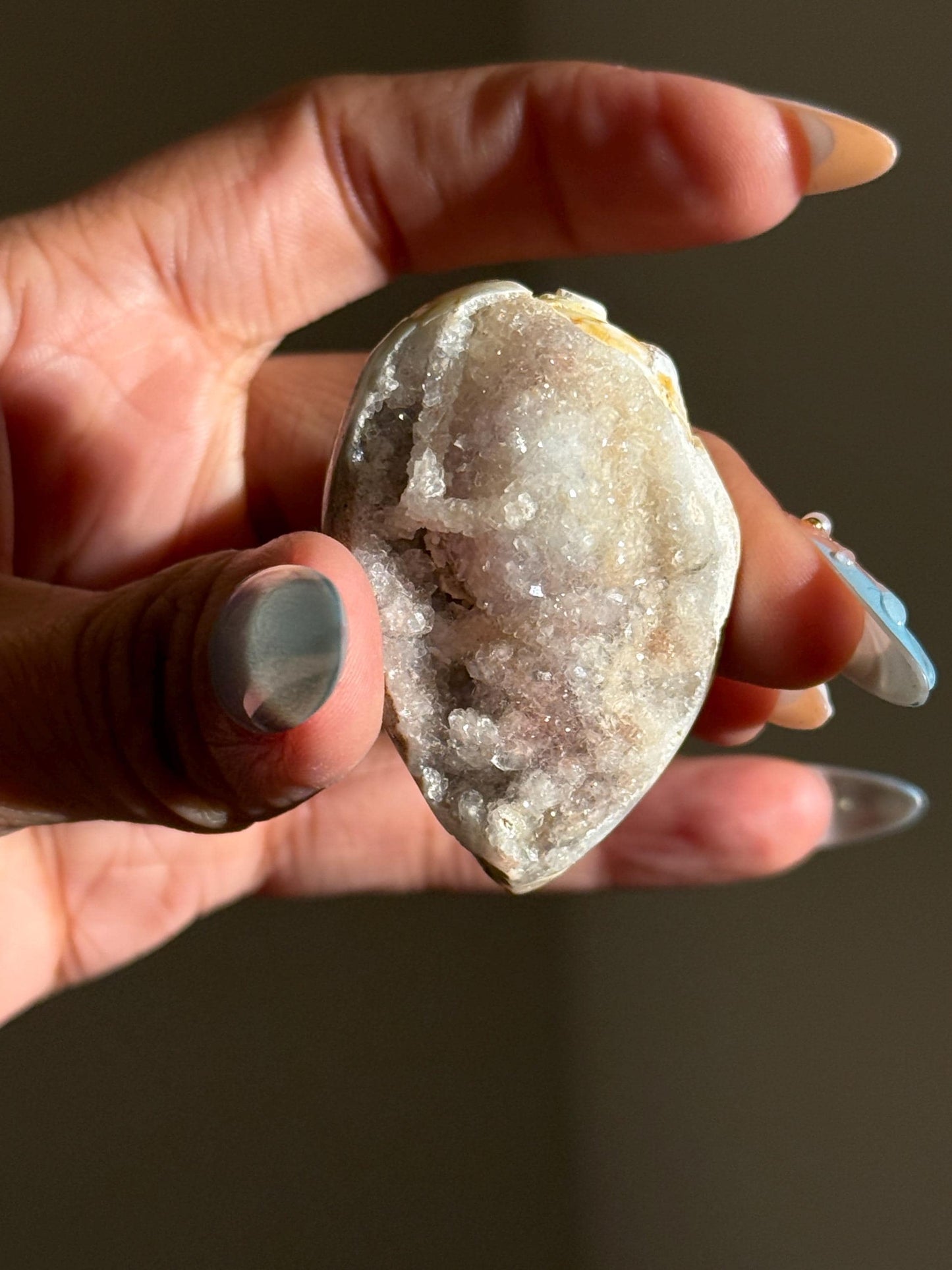 Spiralite Shell, Spiralite Quartz Shell, Fossilized Sea Shell, Agatized Shell, Druzy Quartz Shell, Fossilized Quartz, Crystal Gifts, Fossils