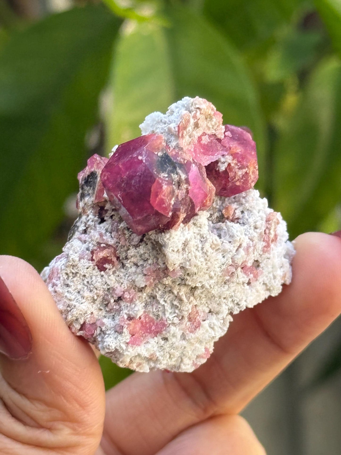 Raspberry Garnet, Grossular Garnet, Raspberry Garnet from Coahuila, Mexico, Raw Mineral Specimen, Garnet