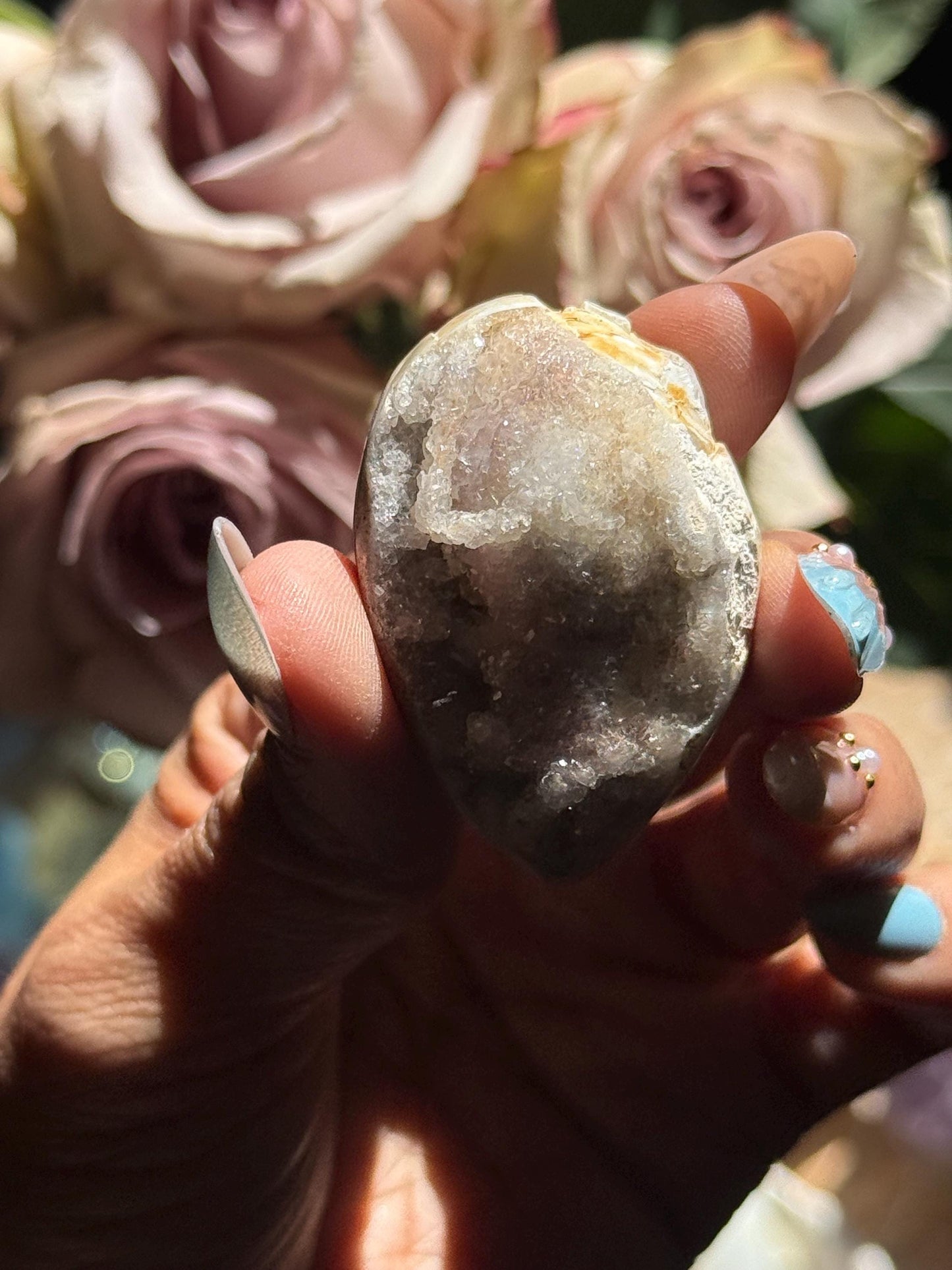 Spiralite Shell, Spiralite Quartz Shell, Fossilized Sea Shell, Agatized Shell, Druzy Quartz Shell, Fossilized Quartz, Crystal Gifts, Fossils