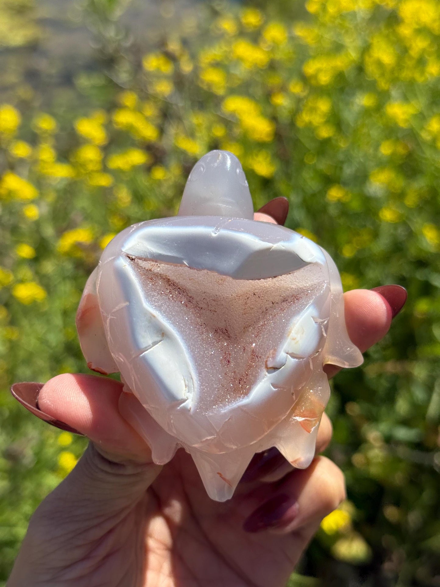 Druzy Agate Turtle, Orca Agate Turtle Carving, Turtle Spirit Animal, Crystal Gifts, Turtle Crystal Carving, Gift for Crystal Lovers