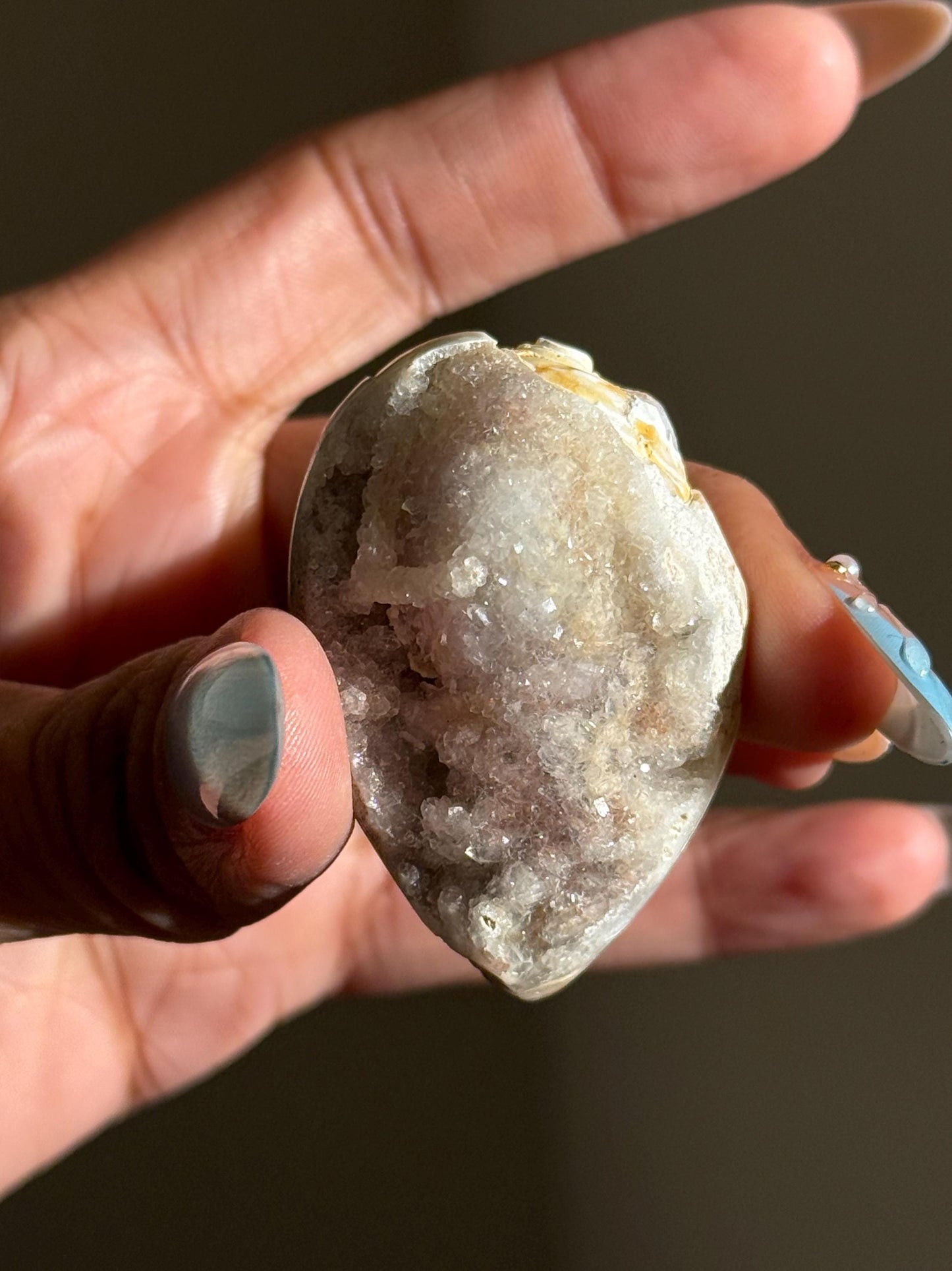 Spiralite Shell, Spiralite Quartz Shell, Fossilized Sea Shell, Agatized Shell, Druzy Quartz Shell, Fossilized Quartz, Crystal Gifts, Fossils