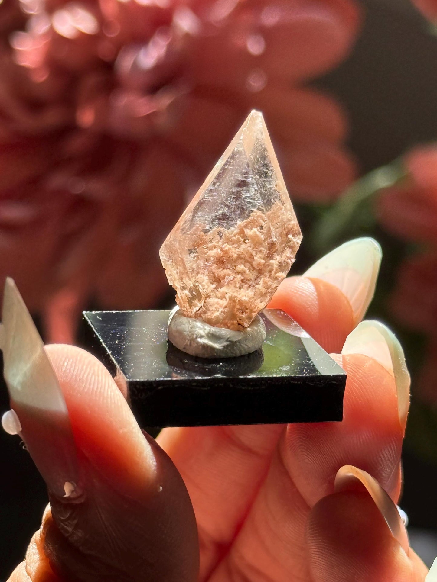 Raw Selenite From Durango Mexico, Mexican Selenite, Raw Natural Selenite, Bermejillo Durango Selenite, Raw Crystals, Fossils, Raw Minerals