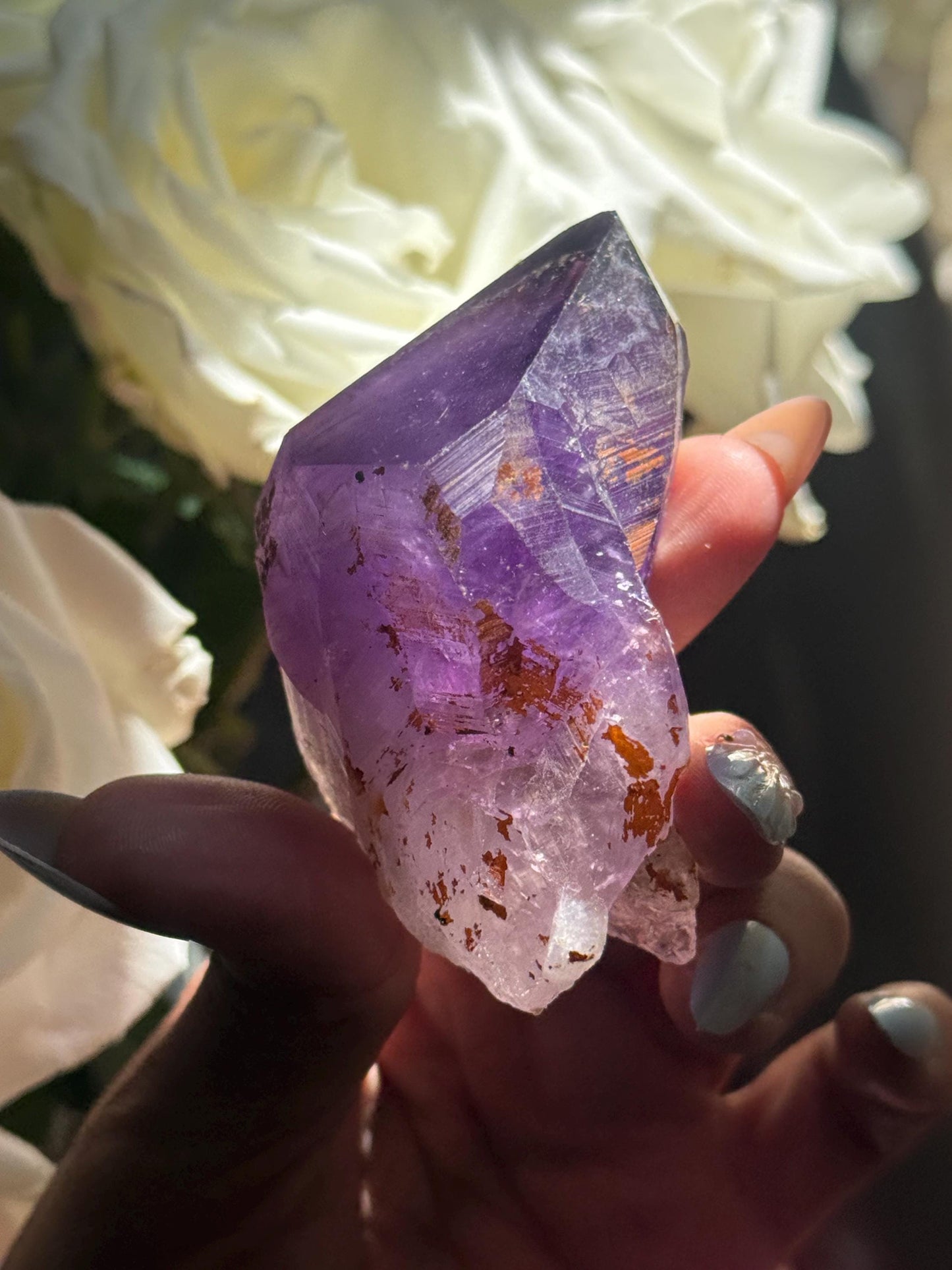 Congo Amethyst Tooth, Raw Congo Amethyst , Amethyst, Congo Amethyst Root, Amethyst Root, Amethyst, Aged Amythst, SMALL