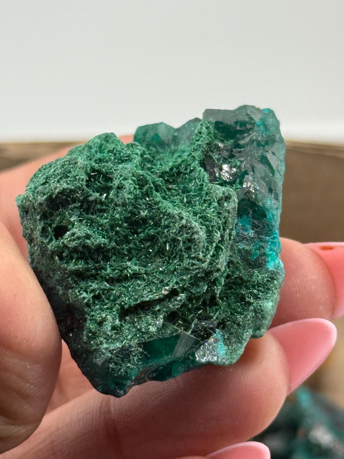 Dioptase with Malachite, Natural Raw Dioptase, Dioptase from Republic of the Congo, Fibrous Malachite, Fossils and Minerlas