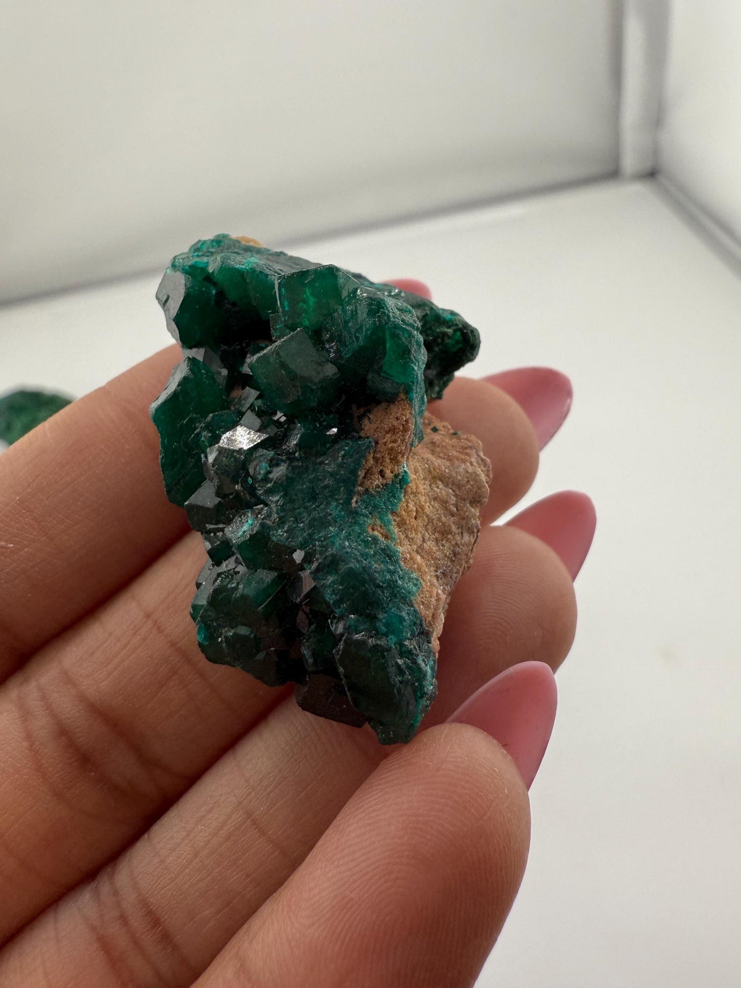Dioptase, Natural Raw Dioptase, Dioptase from Republic of the Congo, Fossils and Minerals,
