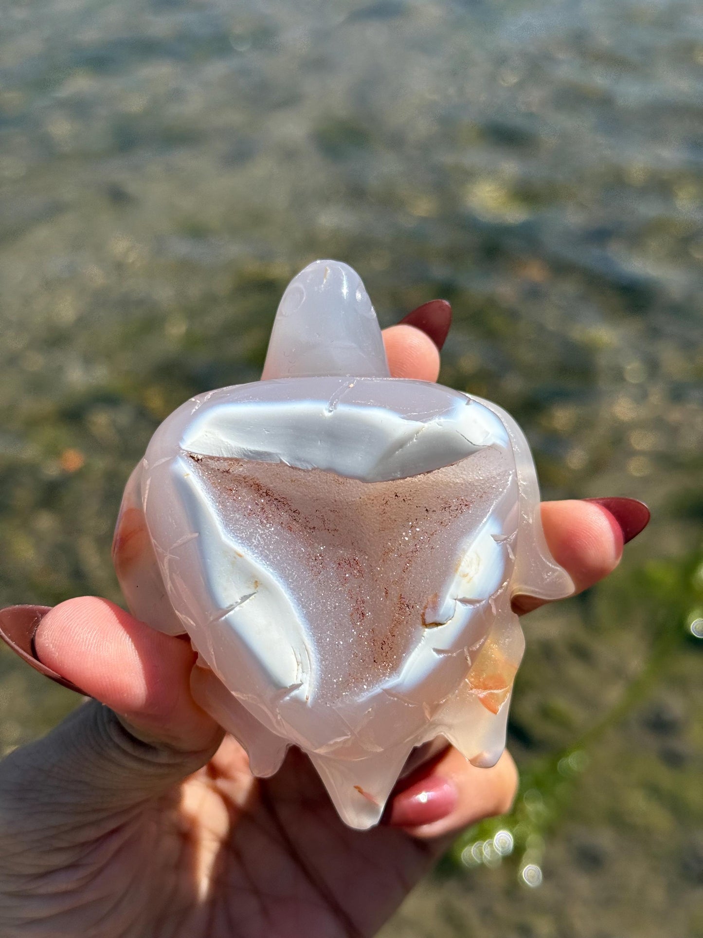 Druzy Agate Turtle, Orca Agate Turtle Carving, Turtle Spirit Animal, Crystal Gifts, Turtle Crystal Carving, Gift for Crystal Lovers