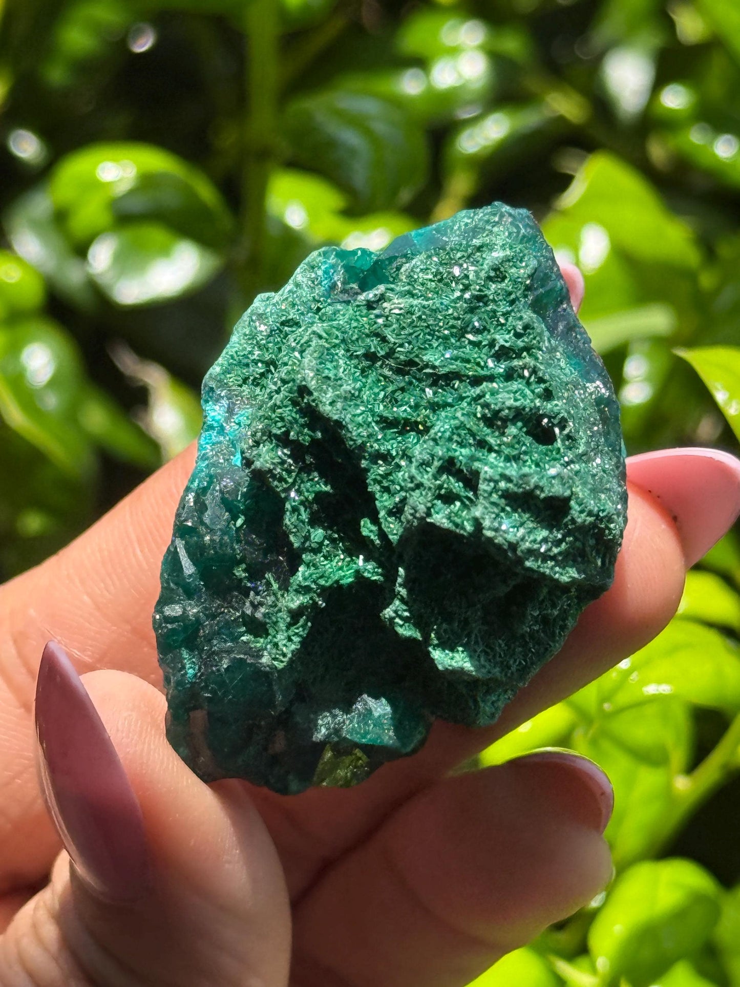 Dioptase with Malachite, Natural Raw Dioptase, Dioptase from Republic of the Congo, Fibrous Malachite, Fossils and Minerlas