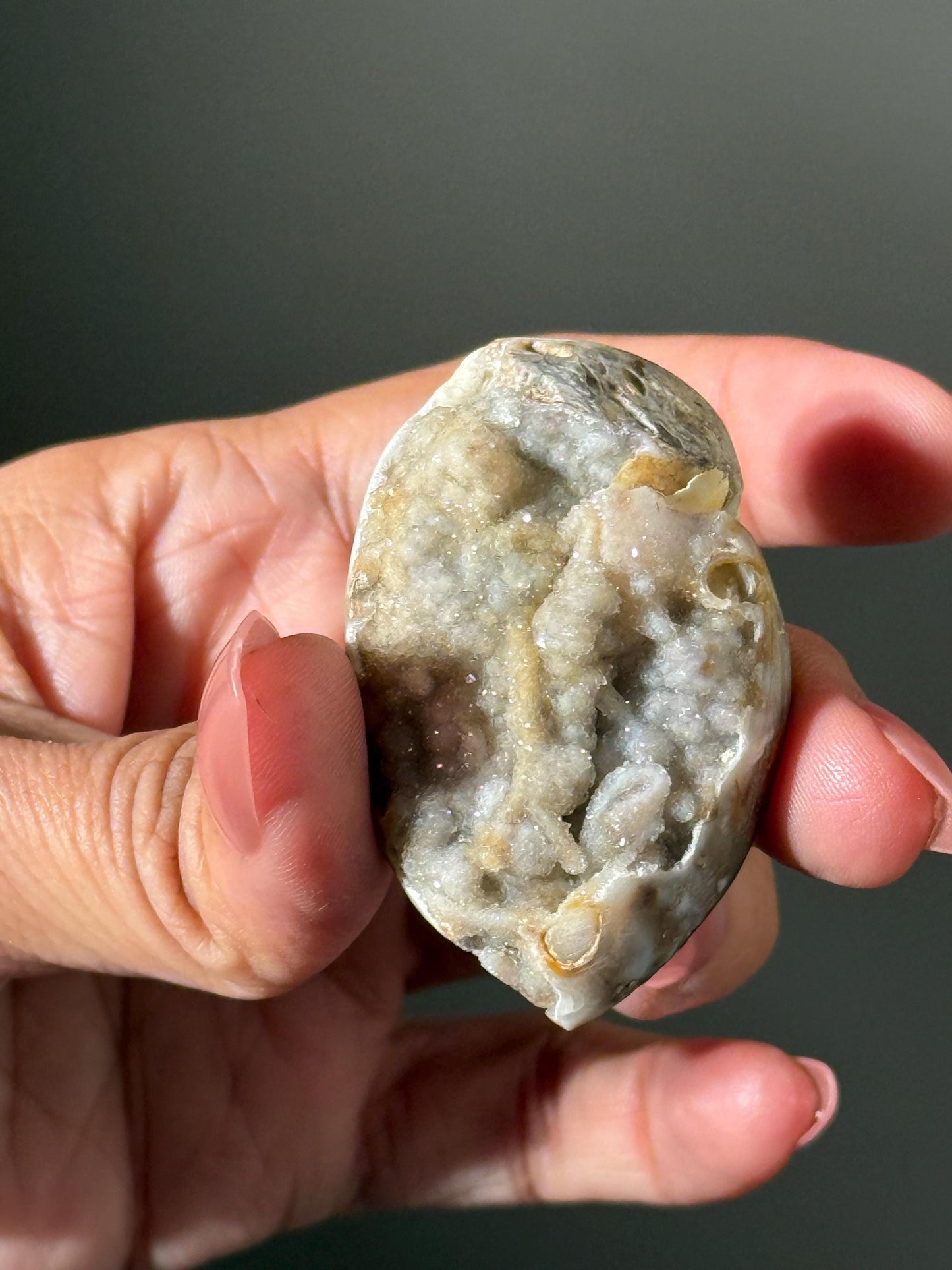 Spiralite Shell, Spiralite Quartz Shell, Fossilized Sea Shell, Agatized Shell, Druzy Quartz Shell, Fossilized Quartz, Crystal Gifts, Fossils