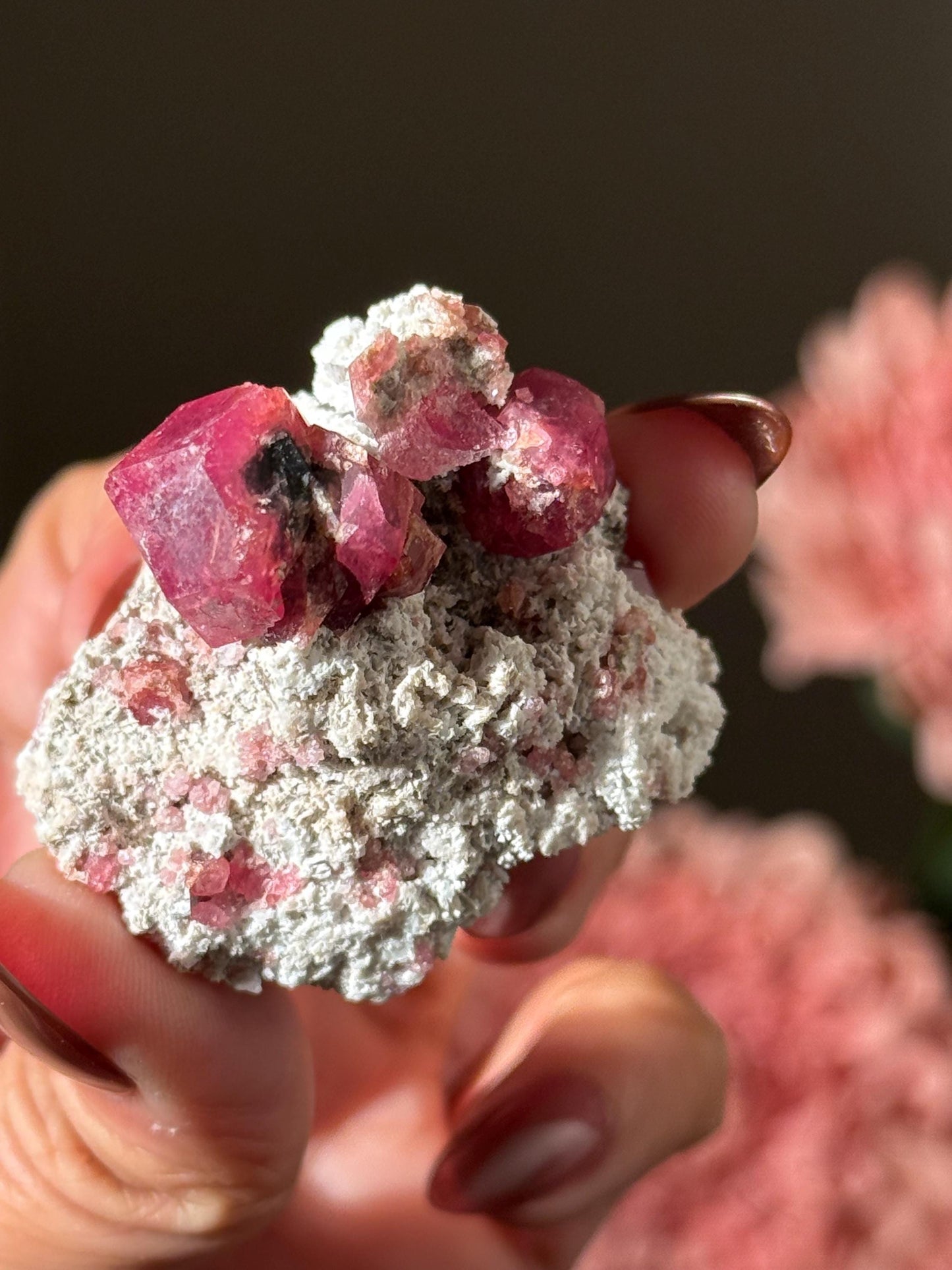Raspberry Garnet, Grossular Garnet, Raspberry Garnet from Coahuila, Mexico, Raw Mineral Specimen, Garnet