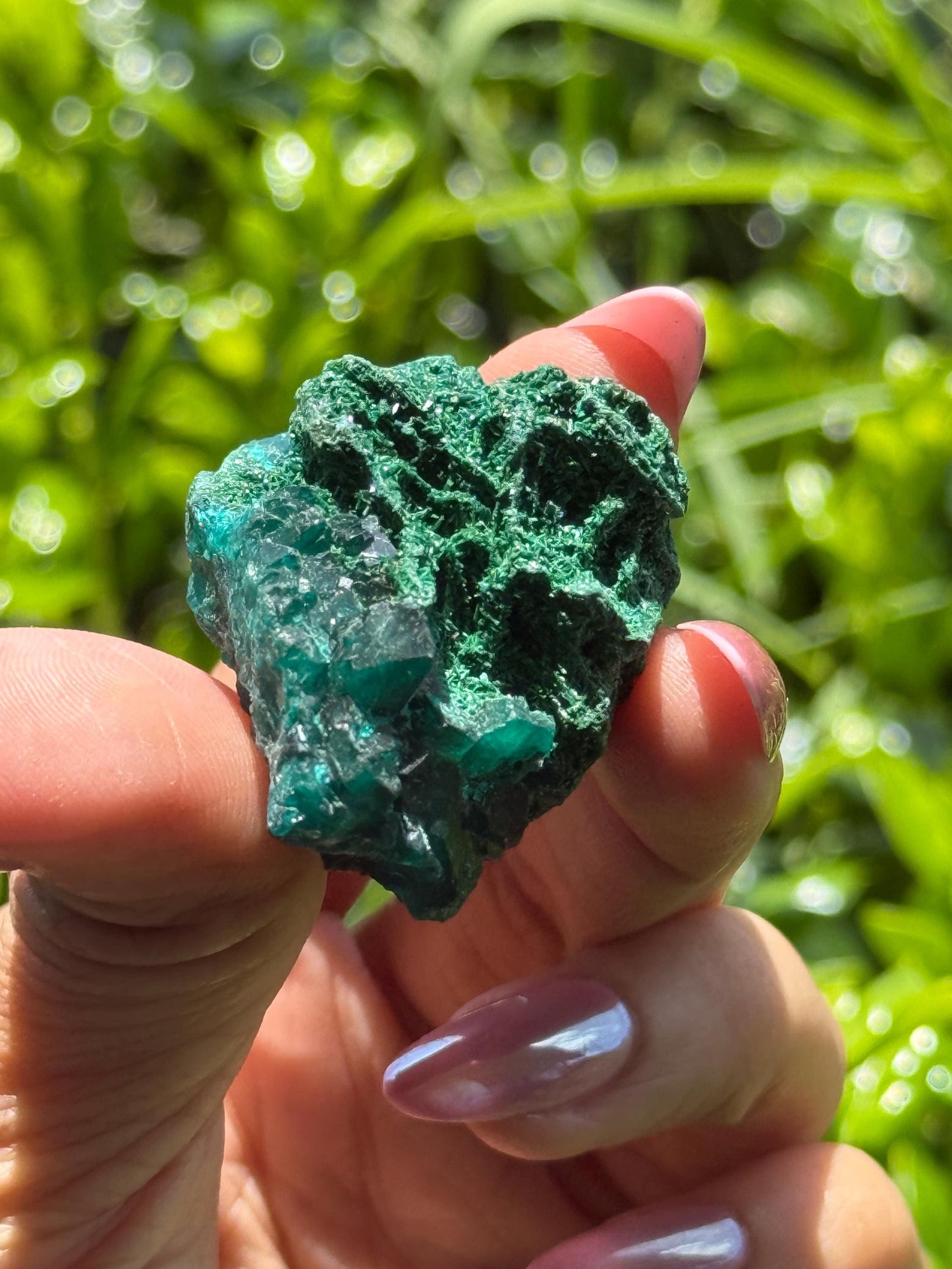Dioptase with Malachite, Natural Raw Dioptase, Dioptase from Republic of the Congo, Fibrous Malachite, Fossils and Minerlas