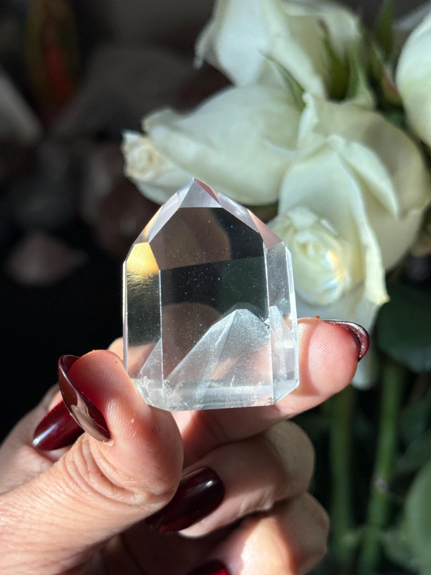 Mountain Phantom Quartz, Lemurian Quartz, Lemurian Seed Quartz, Lodolite Quartz, Garden Quartz, Crystals, Phantom Quartz, Crystal Gifts