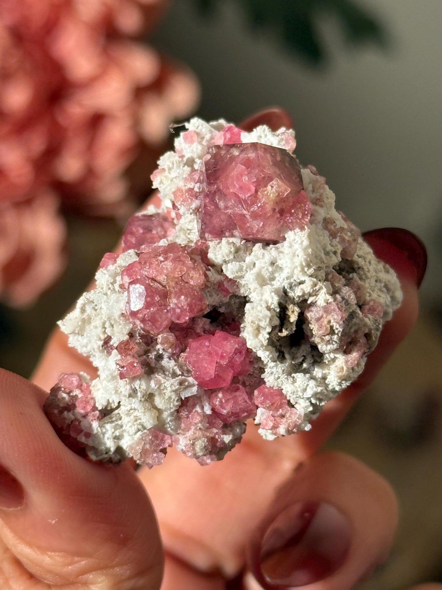 Raspberry Garnet, Grossular Garnet, Raspberry Garnet from Coahuila, Mexico, Raw Mineral Specimen, Garnet, Garnet Raw Stone, Crystal Gifts