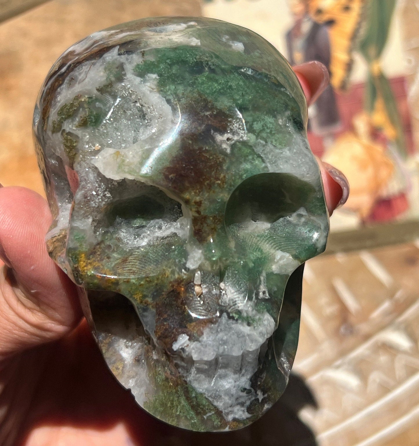 Moss Agate Skull, Druzy Moss Agate, Moss Agate Crystal, Crystal Gifts, Metaphysical Gifts, Witch Decoration, Crystal Skulls, SMALL