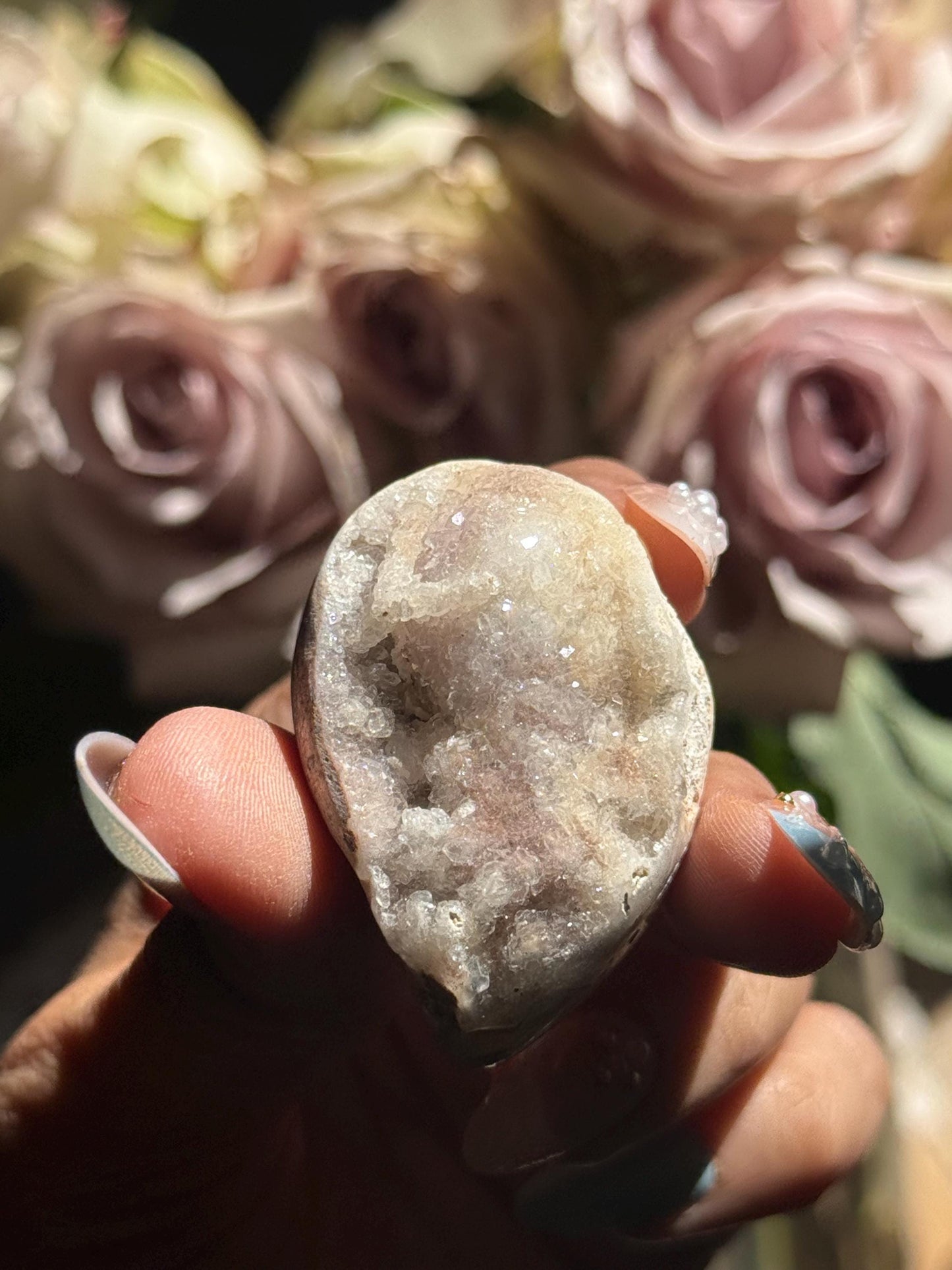 Spiralite Shell, Spiralite Quartz Shell, Fossilized Sea Shell, Agatized Shell, Druzy Quartz Shell, Fossilized Quartz, Crystal Gifts, Fossils