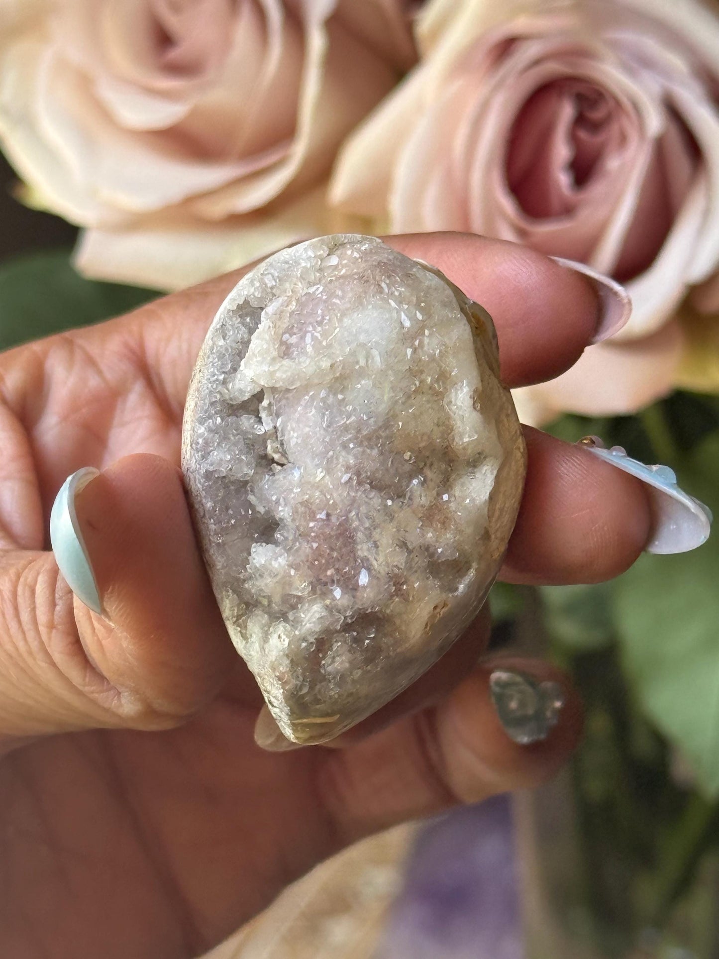 Spiralite Shell, Spiralite Quartz Shell, Fossilized Sea Shell, Agatized Shell, Druzy Quartz Shell, Fossilized Quartz, Crystal Gifts, Fossils