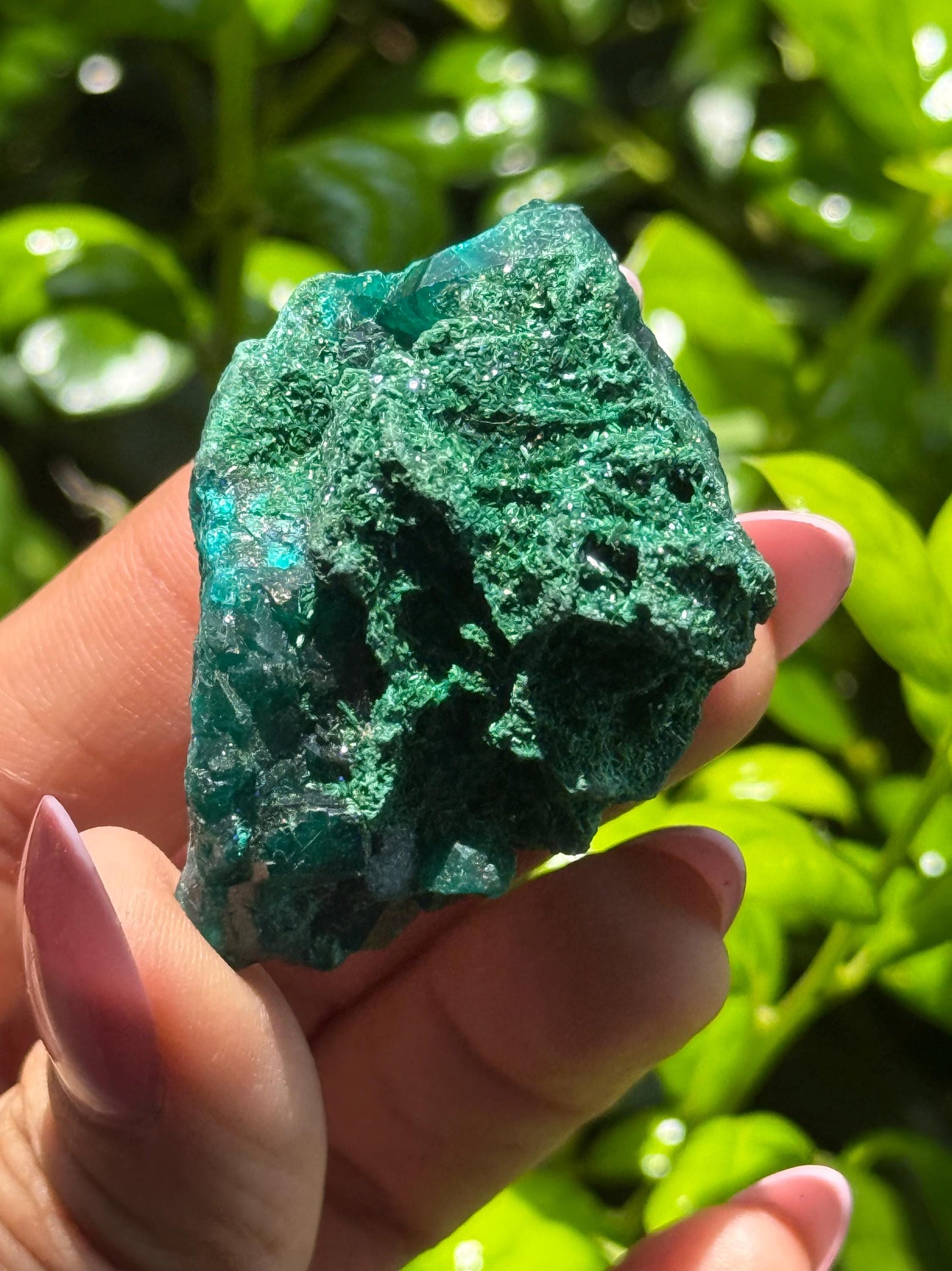 Dioptase with Malachite, Natural Raw Dioptase, Dioptase from Republic of the Congo, Fibrous Malachite, Fossils and Minerlas