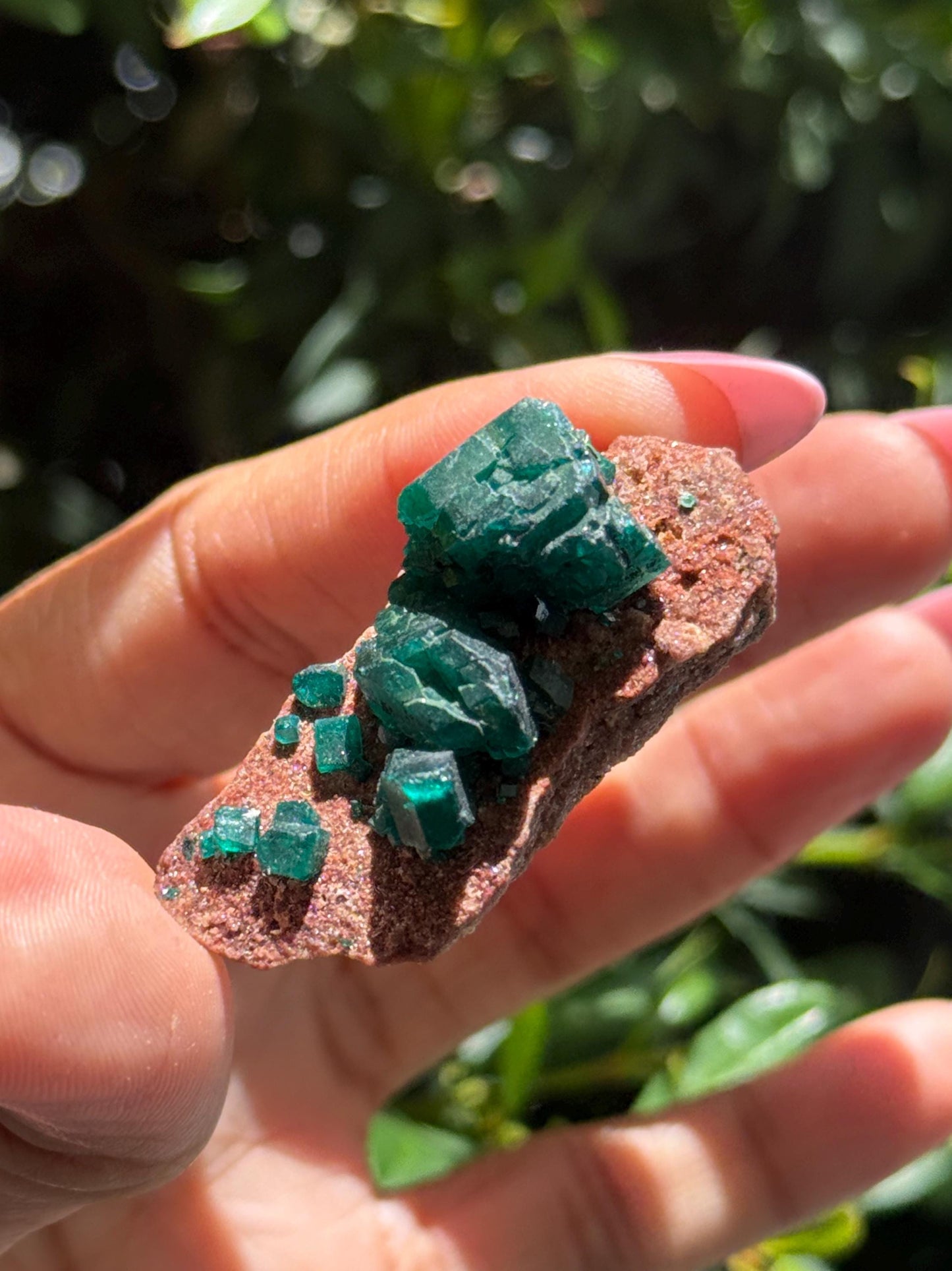 Dioptase, Natural Raw Dioptase, Dioptase from Republic of the Congo, Fossils and Minerals,