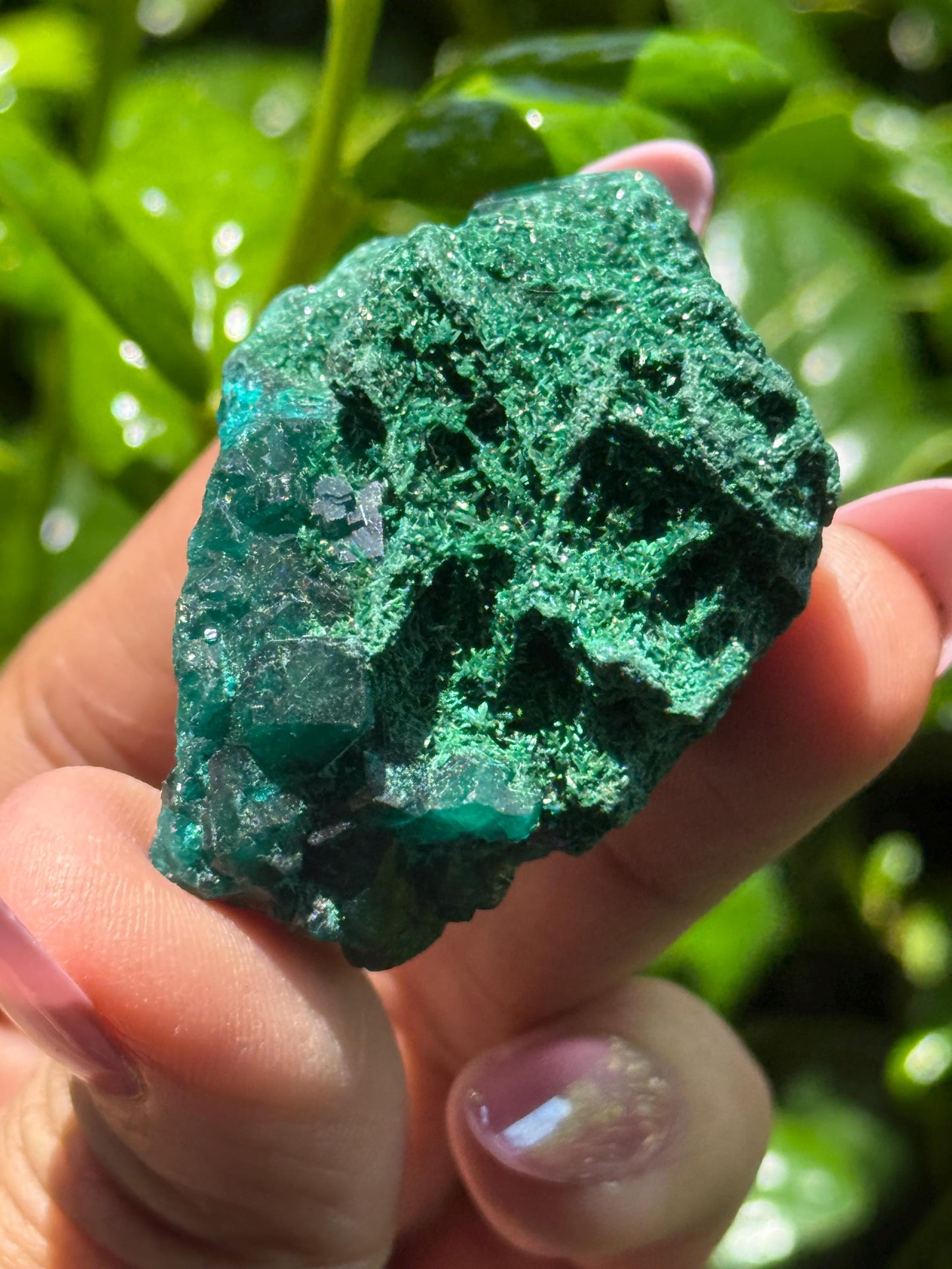 Dioptase with Malachite, Natural Raw Dioptase, Dioptase from Republic of the Congo, Fibrous Malachite, Fossils and Minerlas
