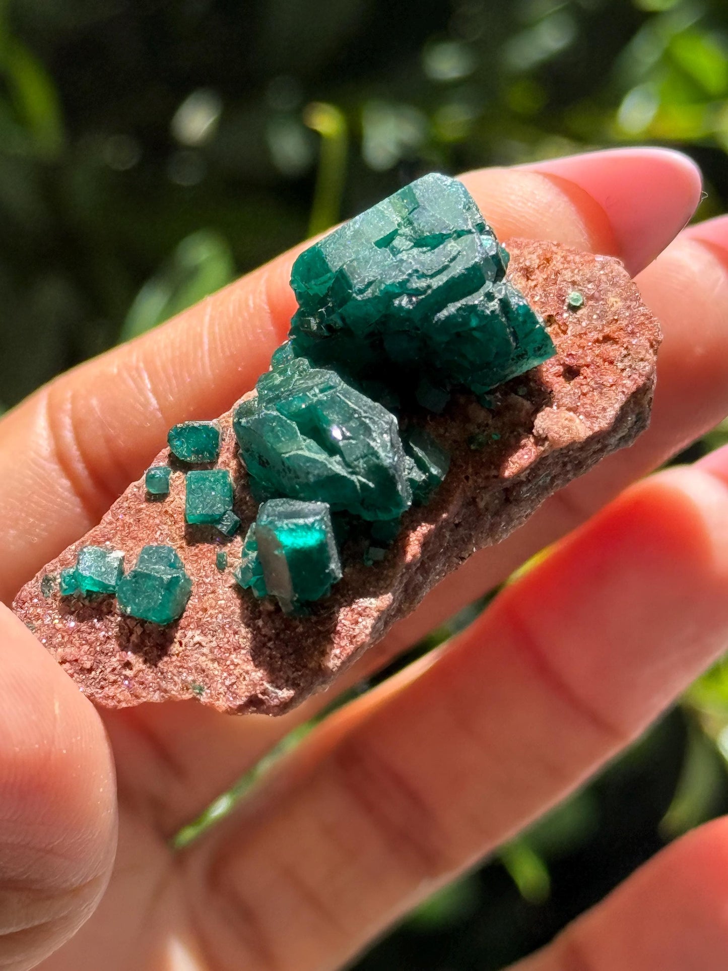 Dioptase, Natural Raw Dioptase, Dioptase from Republic of the Congo, Fossils and Minerals,