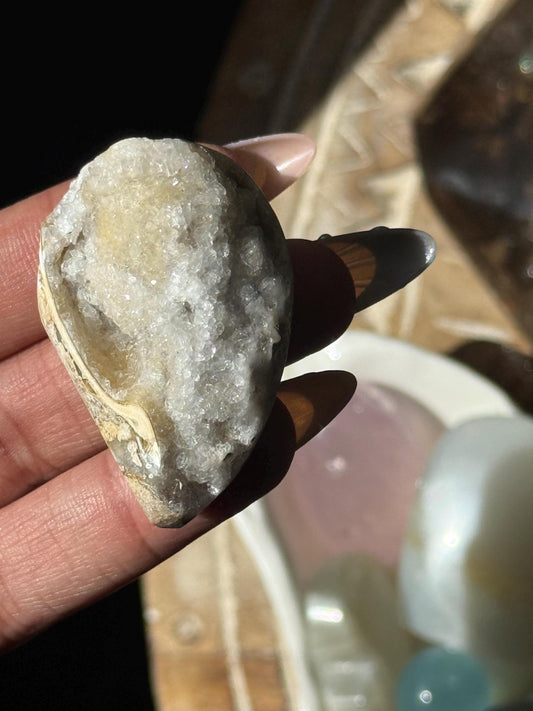 Spiralite Shell, Spiralite Quartz Shell, Fossilized Sea Shell, Agatized Shell, Druzy Quartz Shell, Fossilized Quartz, Crystal Gifts, Fossils