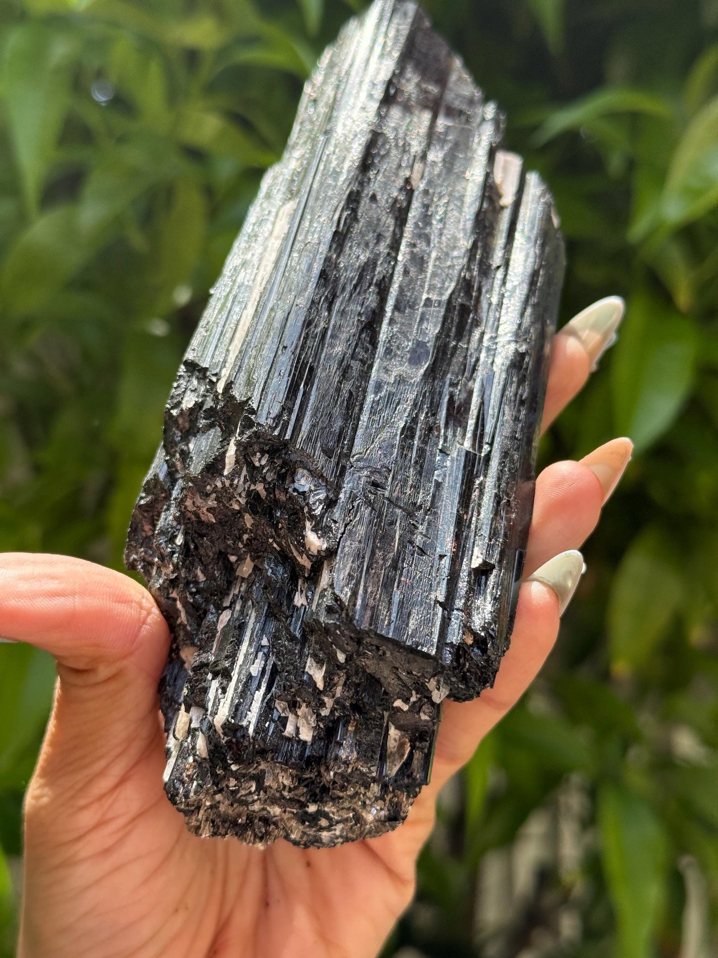 Large Black Tourmaline with Quartz, Raw Black Tourmaline, Tourmaline, Tourmaline mineral, Raw Crystal Specimen, Crystal Gifts, Home Decor