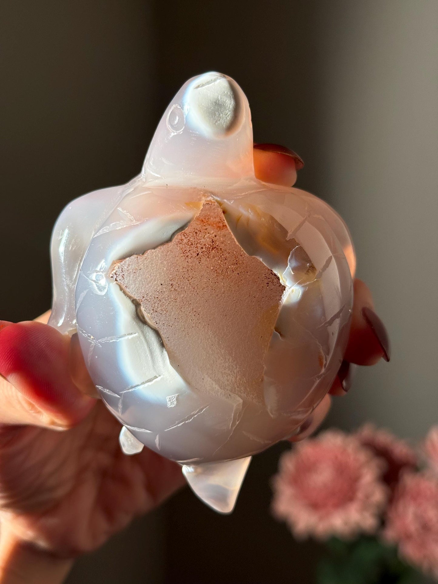 Druzy Agate Crystal Turtle, Druzy Agate Turtle, Turtle Carving, Good Luck Charm, Turtle Totem, Metaphysical Gifts, Small Size