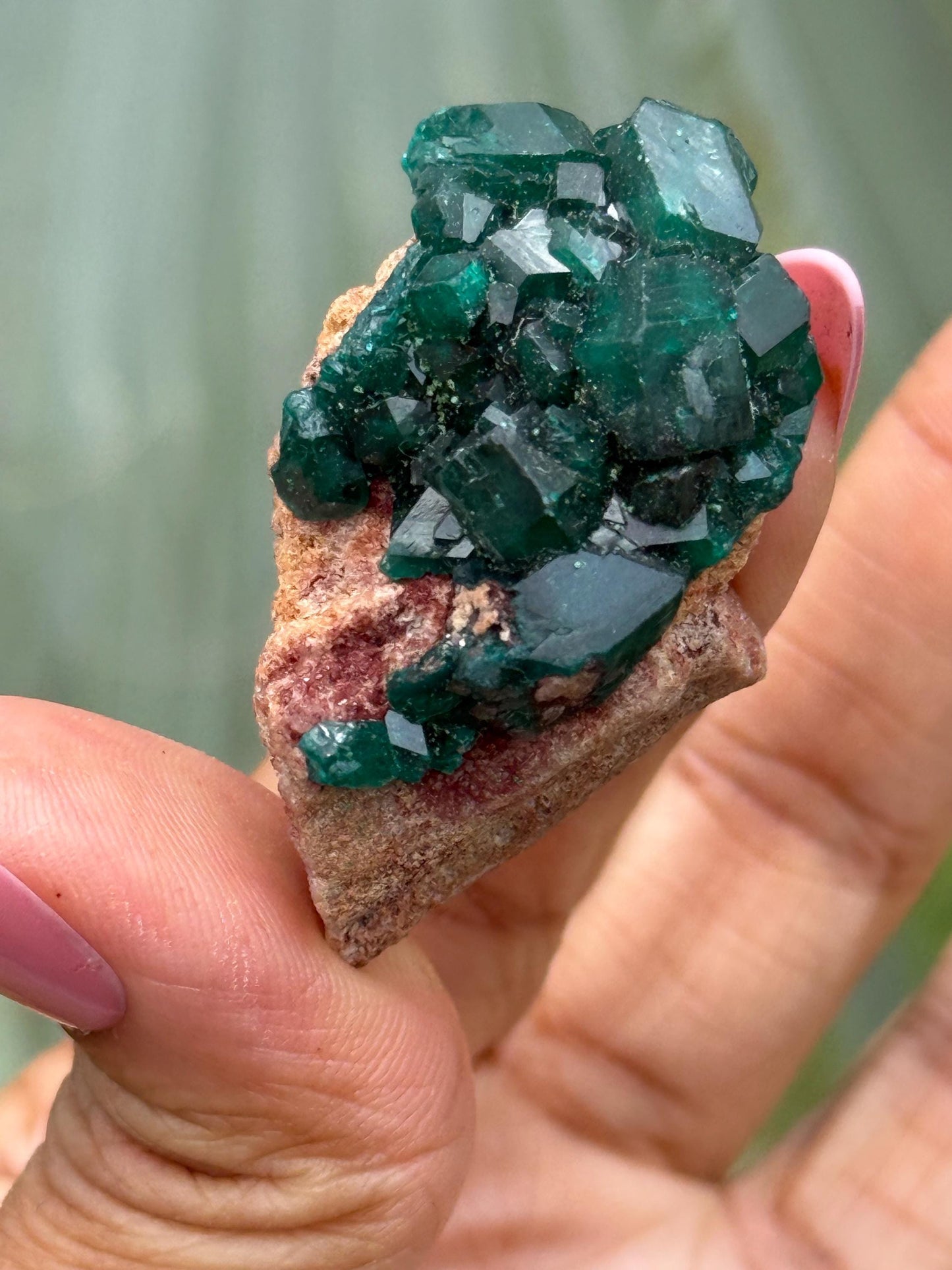 Dioptase, Natural Raw Dioptase, Dioptase from Republic of the Congo, Green Dioptase, Mineral Specimens, Fossils and Minerals, Crystal Gift