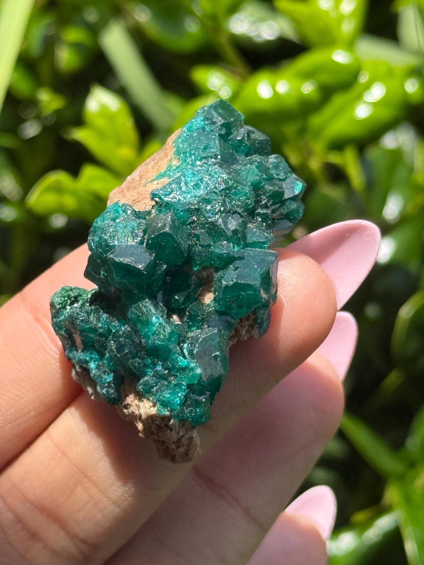 Dioptase, Natural Raw Dioptase, Dioptase from Republic of the Congo, Fossils and Minerals,