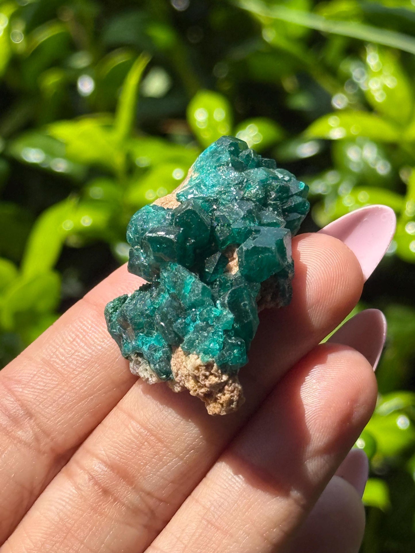 Dioptase, Natural Raw Dioptase, Dioptase from Republic of the Congo, Fossils and Minerals,