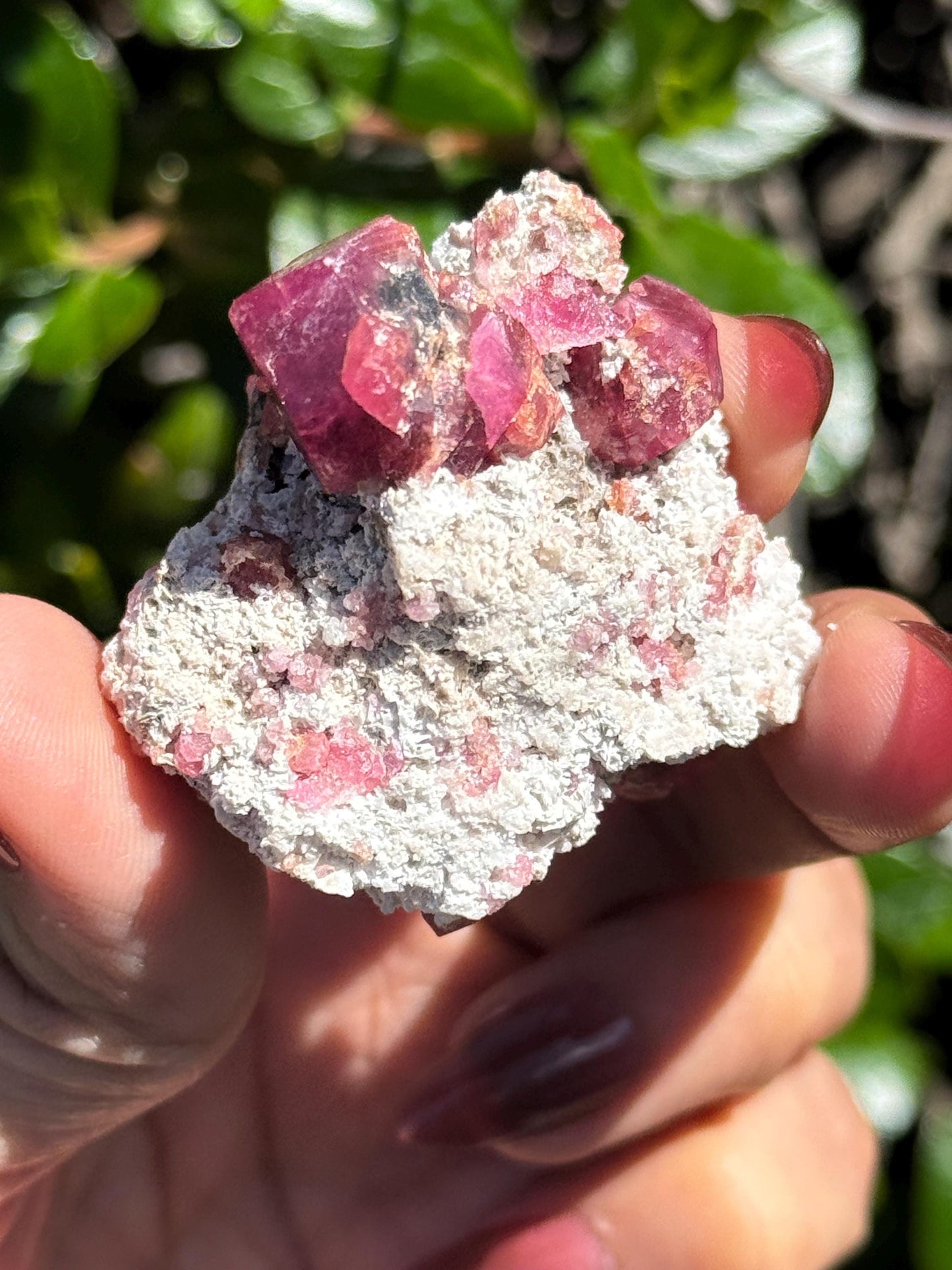 Raspberry Garnet, Grossular Garnet, Raspberry Garnet from Coahuila, Mexico, Raw Mineral Specimen, Garnet