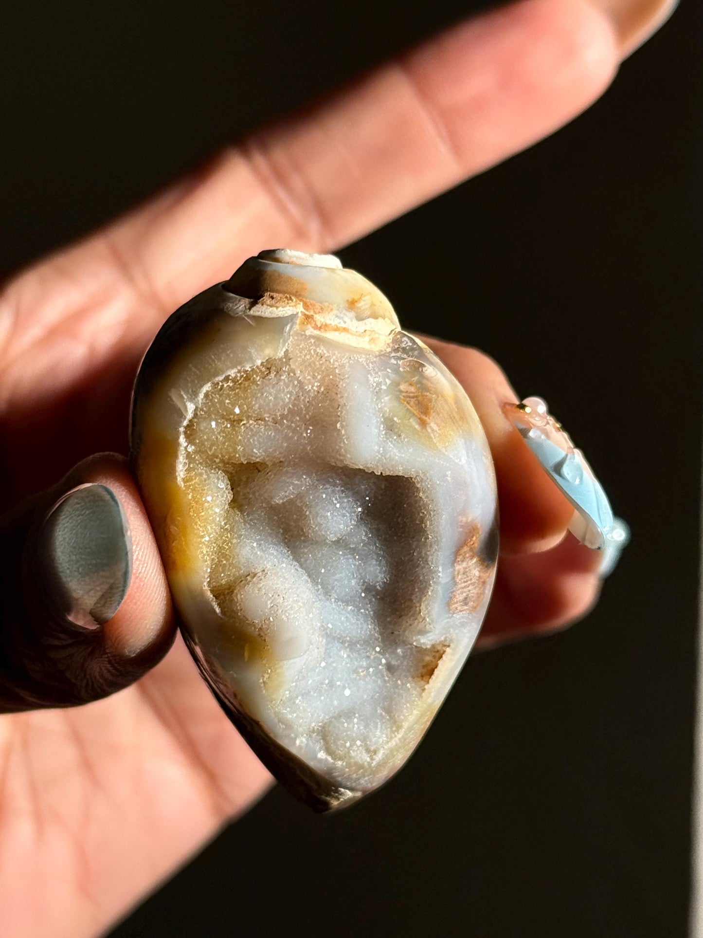 Spiralite Shell, Spiralite Quartz Shell, Fossilized Sea Shell, Agatized Shell, Druzy Quartz Shell, Fossilized Quartz, Crystal Gifts, Fossils