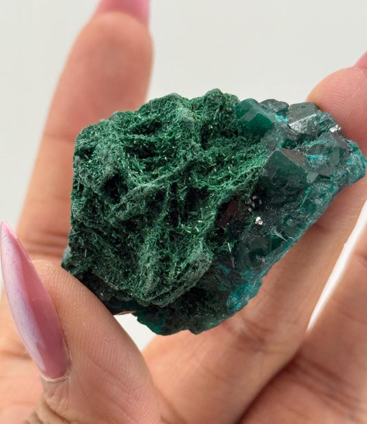 Dioptase with Malachite, Natural Raw Dioptase, Dioptase from Republic of the Congo, Fibrous Malachite, Fossils and Minerlas