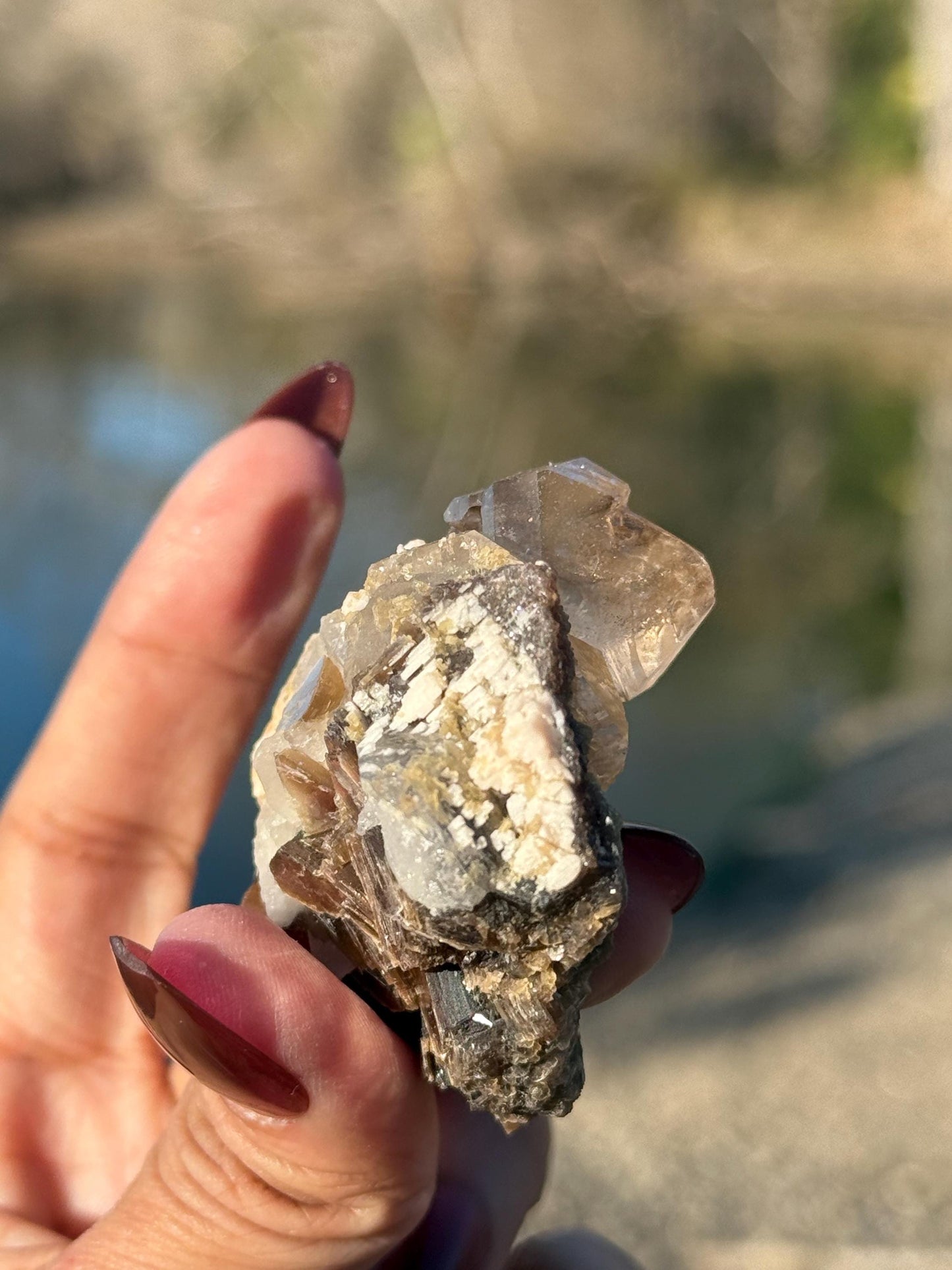 Smoky Quartz Scepter With Golden Mica, Enhydro Quartz, Smoky Quartz Enhydro, Raw Smoky Quartz Specimen, Tucson Gem Show Find