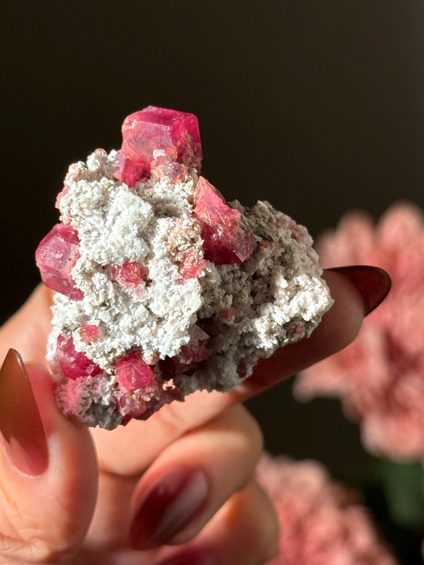 Raspberry Garnet, Grossular Garnet, Raspberry Garnet from Coahuila, Mexico, Raw Mineral Specimen, Garnet