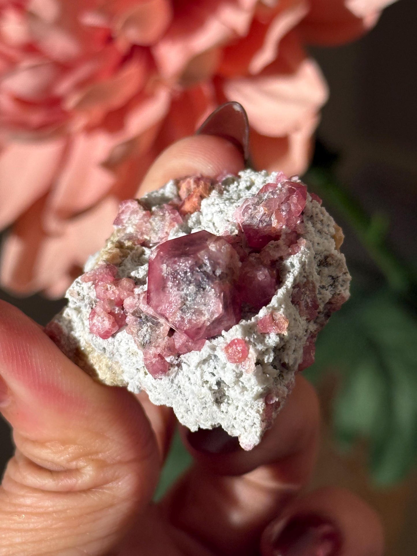 Raspberry Garnet, Grossular Garnet, Raspberry Garnet from Coahuila, Mexico, Raw Mineral Specimen, Garnet, Garnet Raw Stone, Crystal Gifts