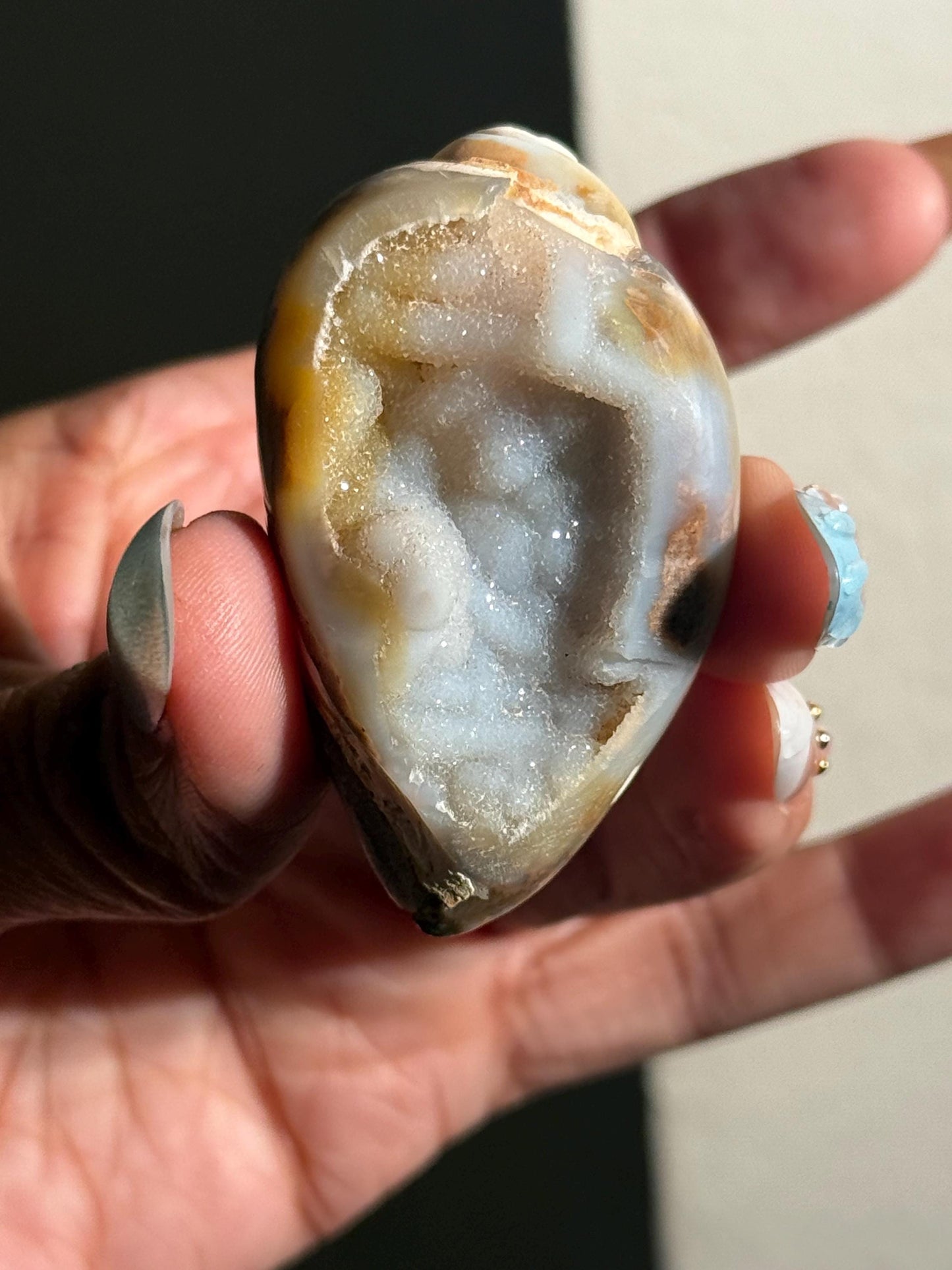 Spiralite Shell, Spiralite Quartz Shell, Fossilized Sea Shell, Agatized Shell, Druzy Quartz Shell, Fossilized Quartz, Crystal Gifts, Fossils