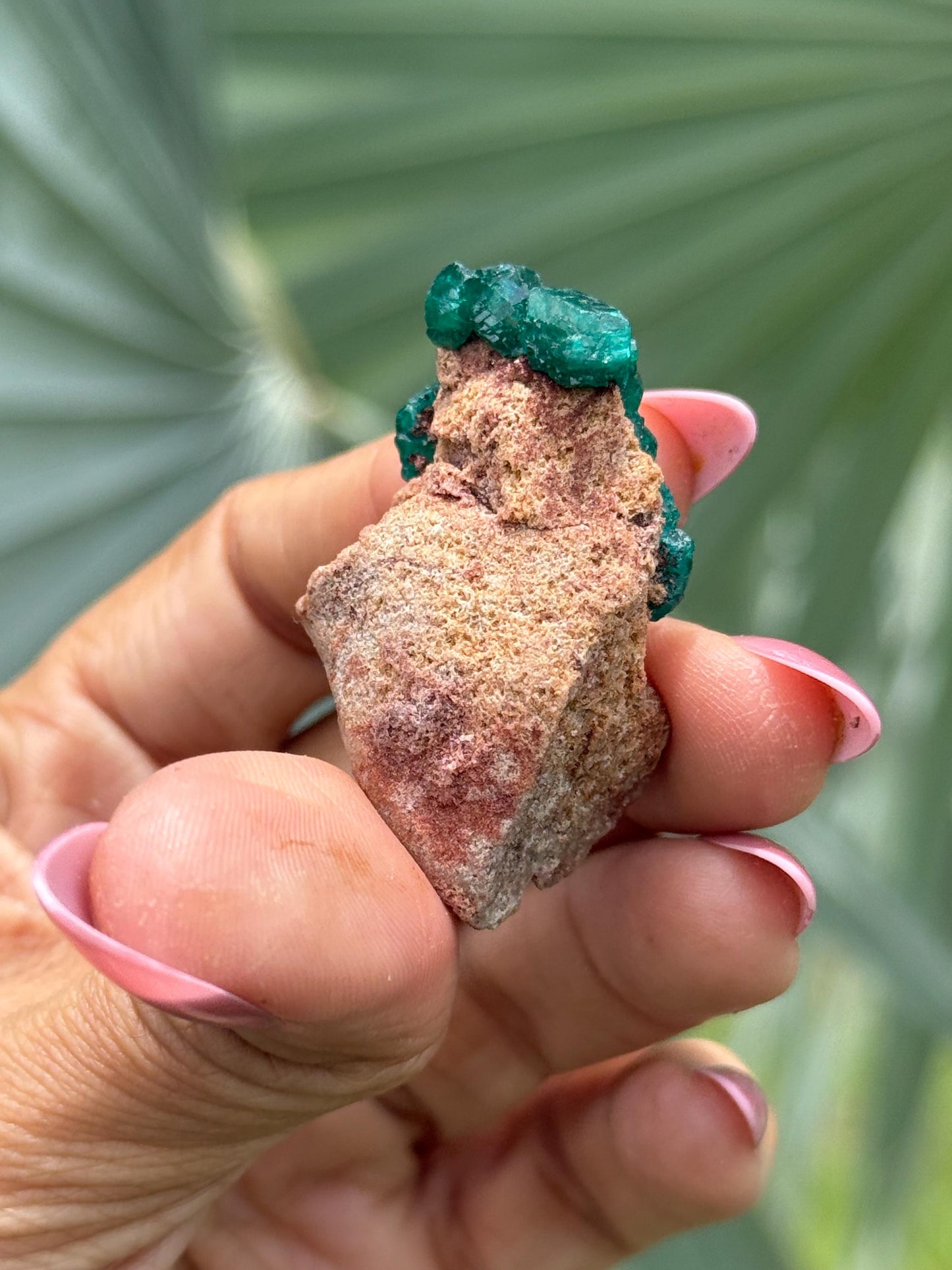Dioptase, Natural Raw Dioptase, Dioptase from Republic of the Congo, Green Dioptase, Mineral Specimens, Fossils and Minerals, Crystal Gift